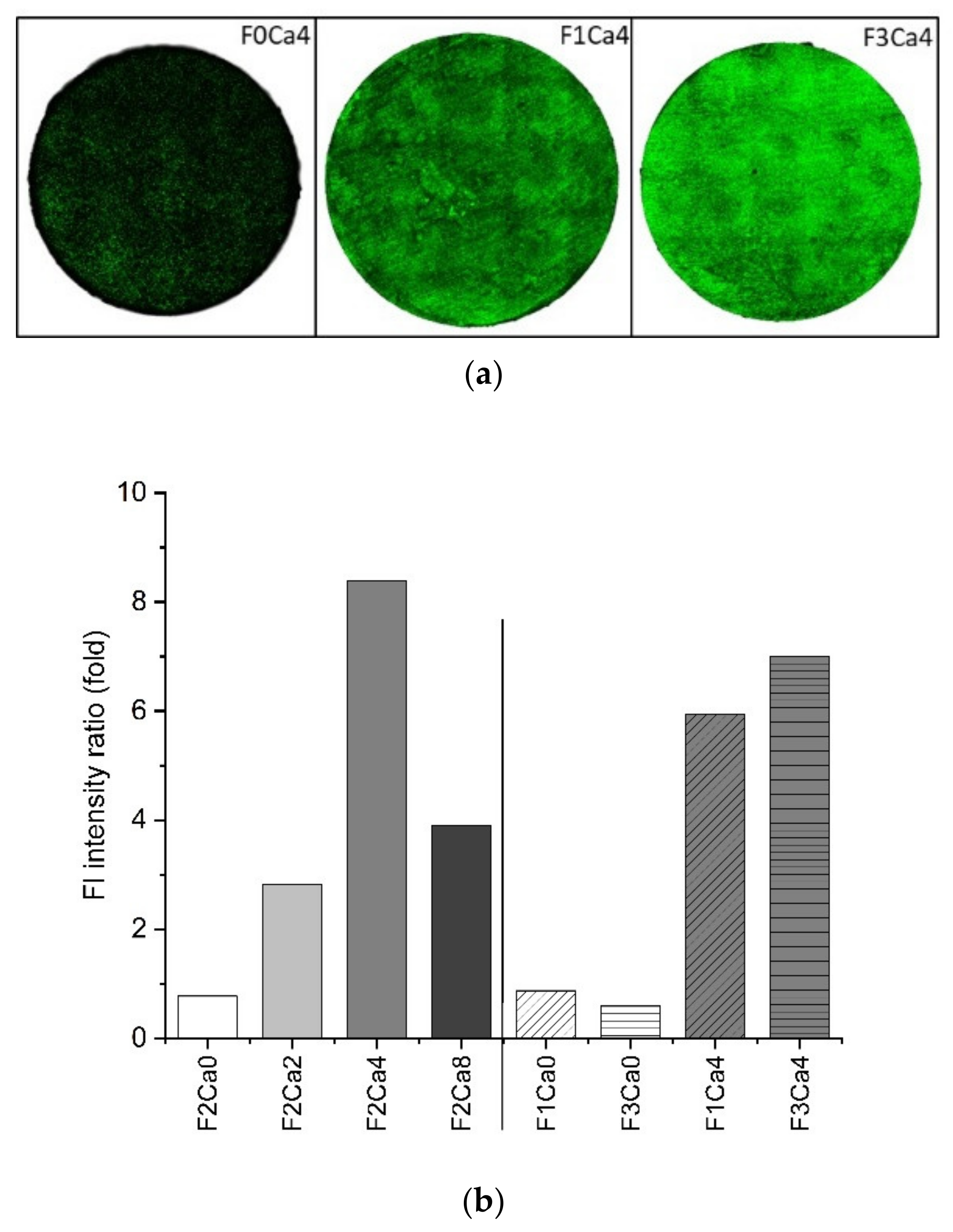 Materials 14 05005 g006