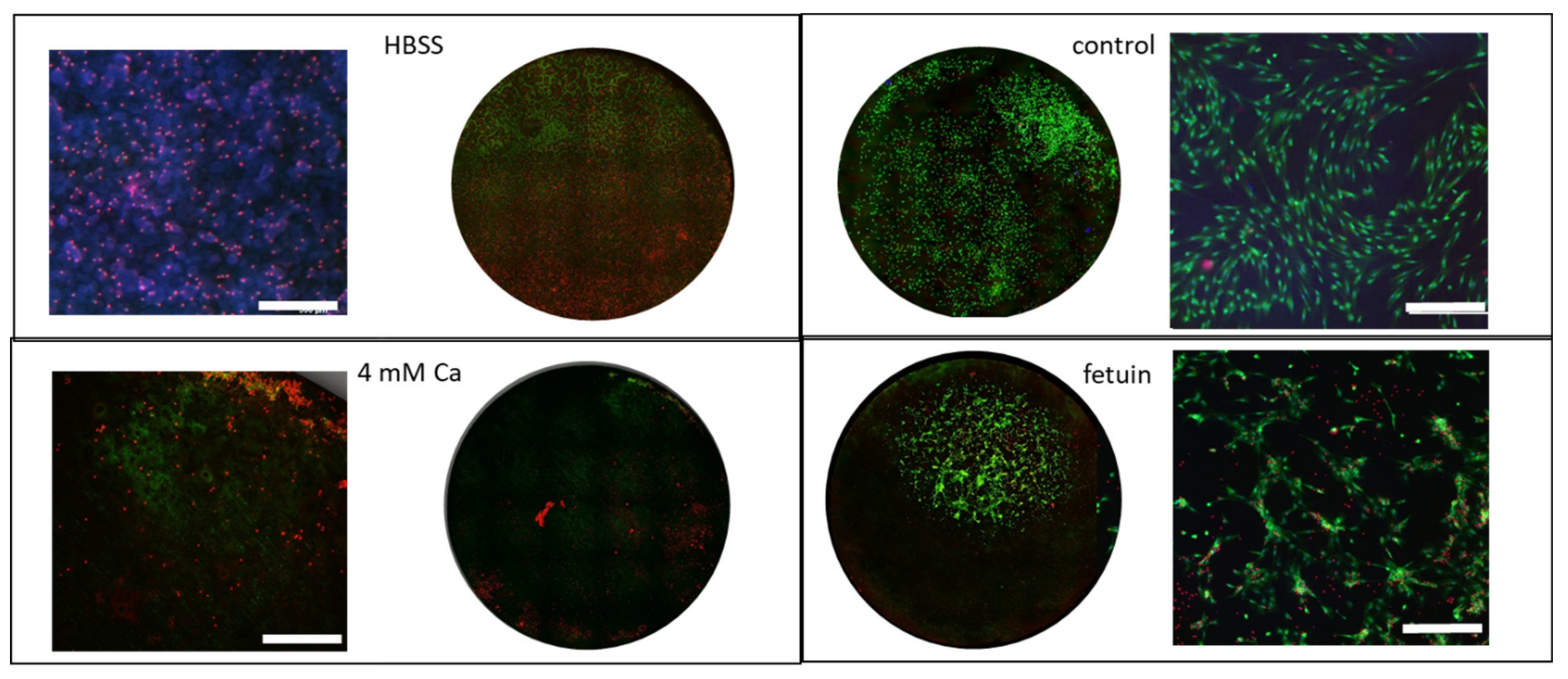 Materials 14 05005 g007
