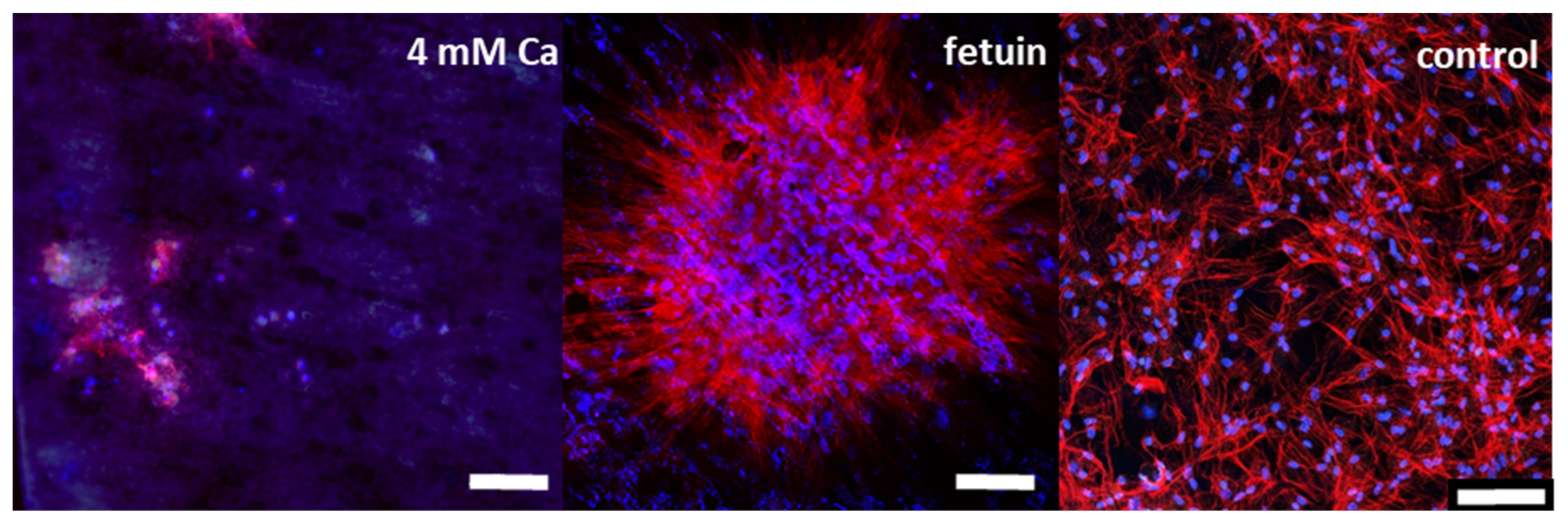 Materials 14 05005 g008