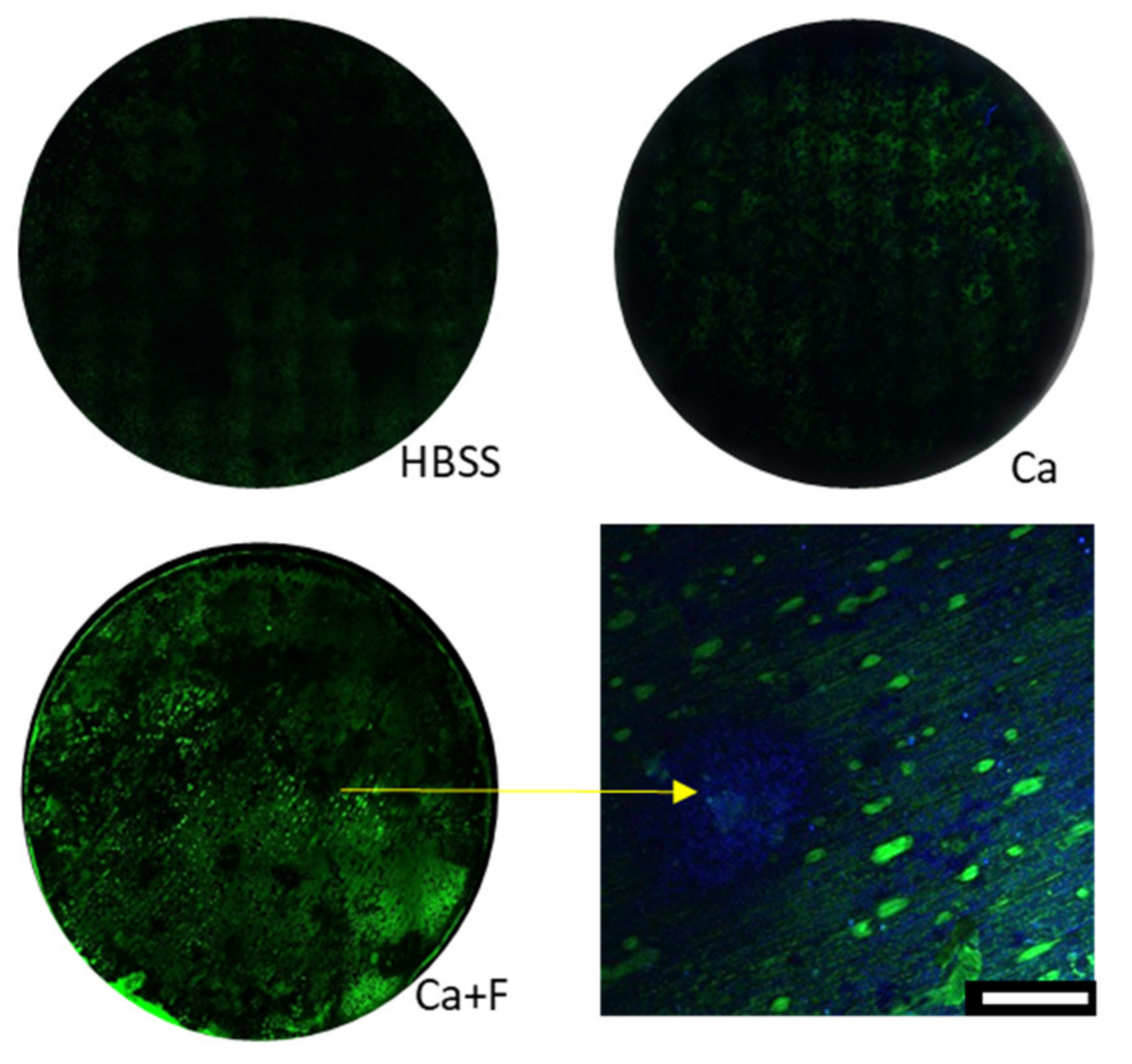 Materials 14 05005 g009