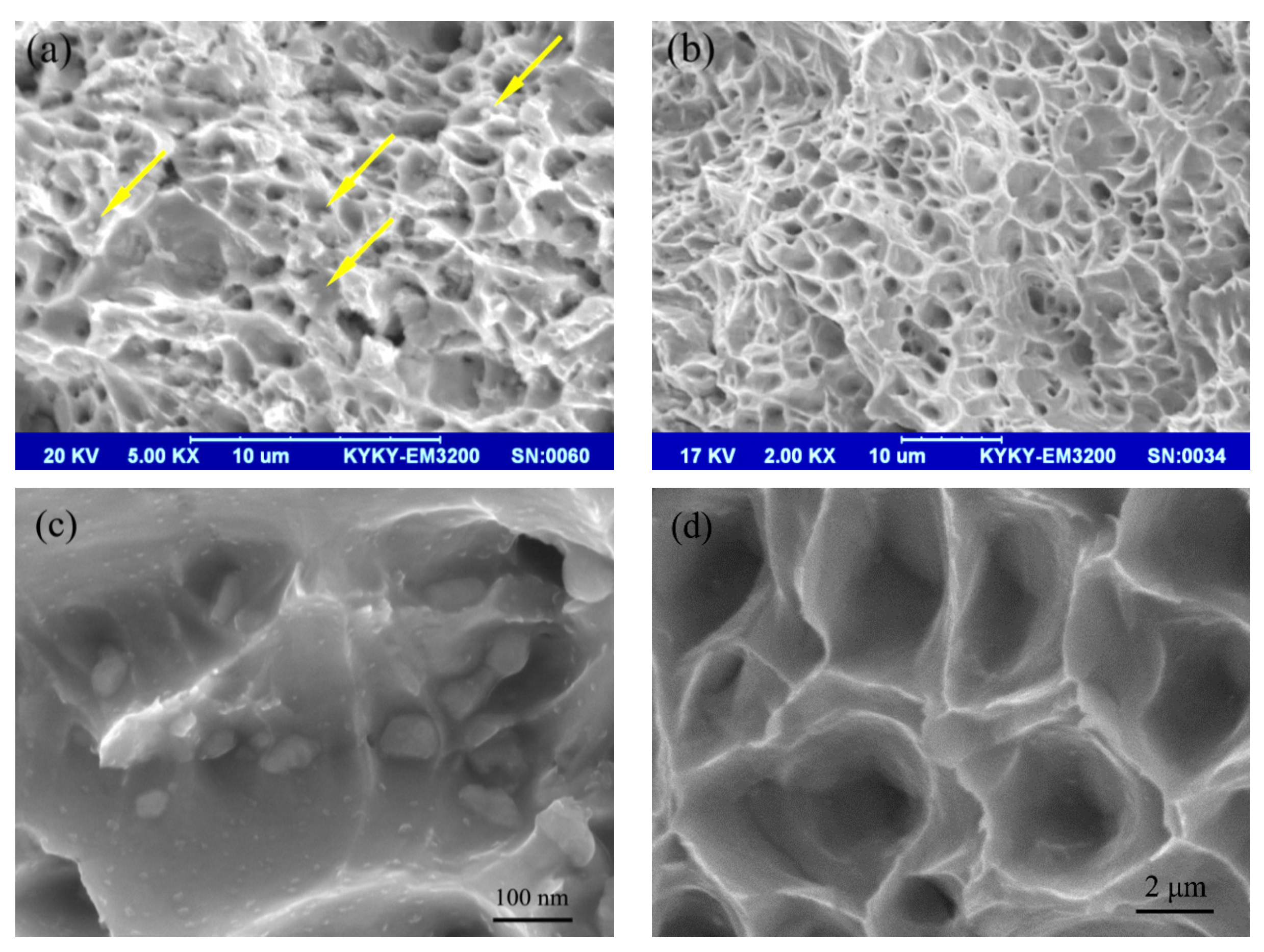 Materials 14 05021 g005