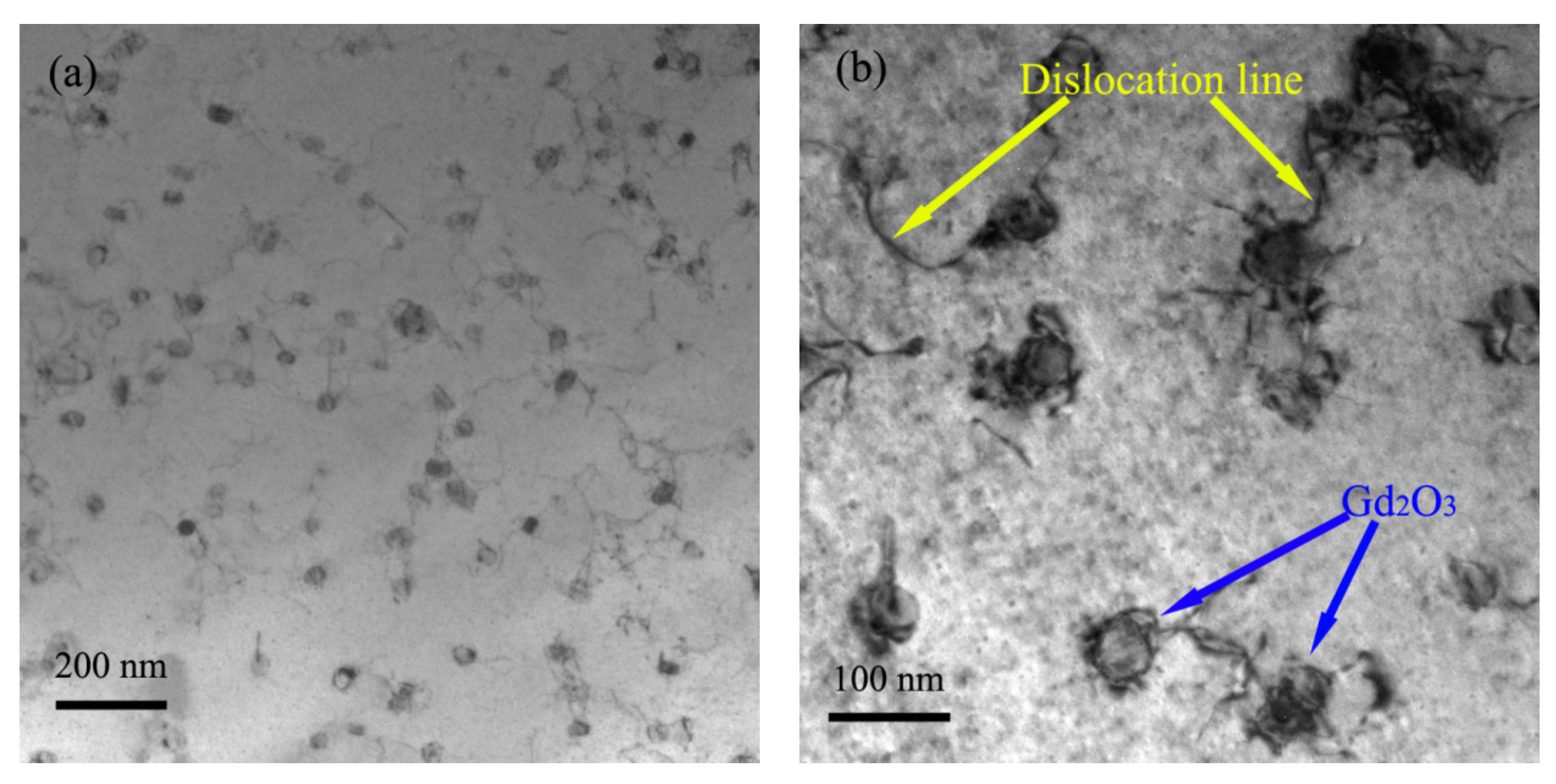 Materials 14 05021 g009