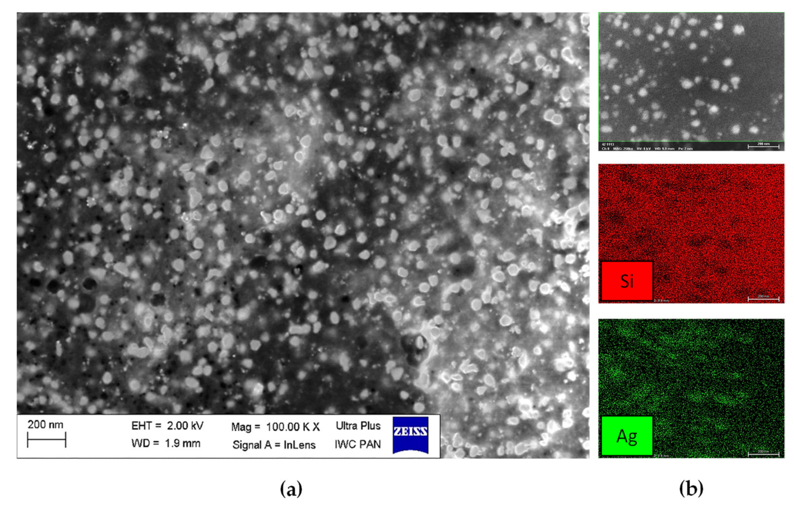 Materials 14 05028 g005
