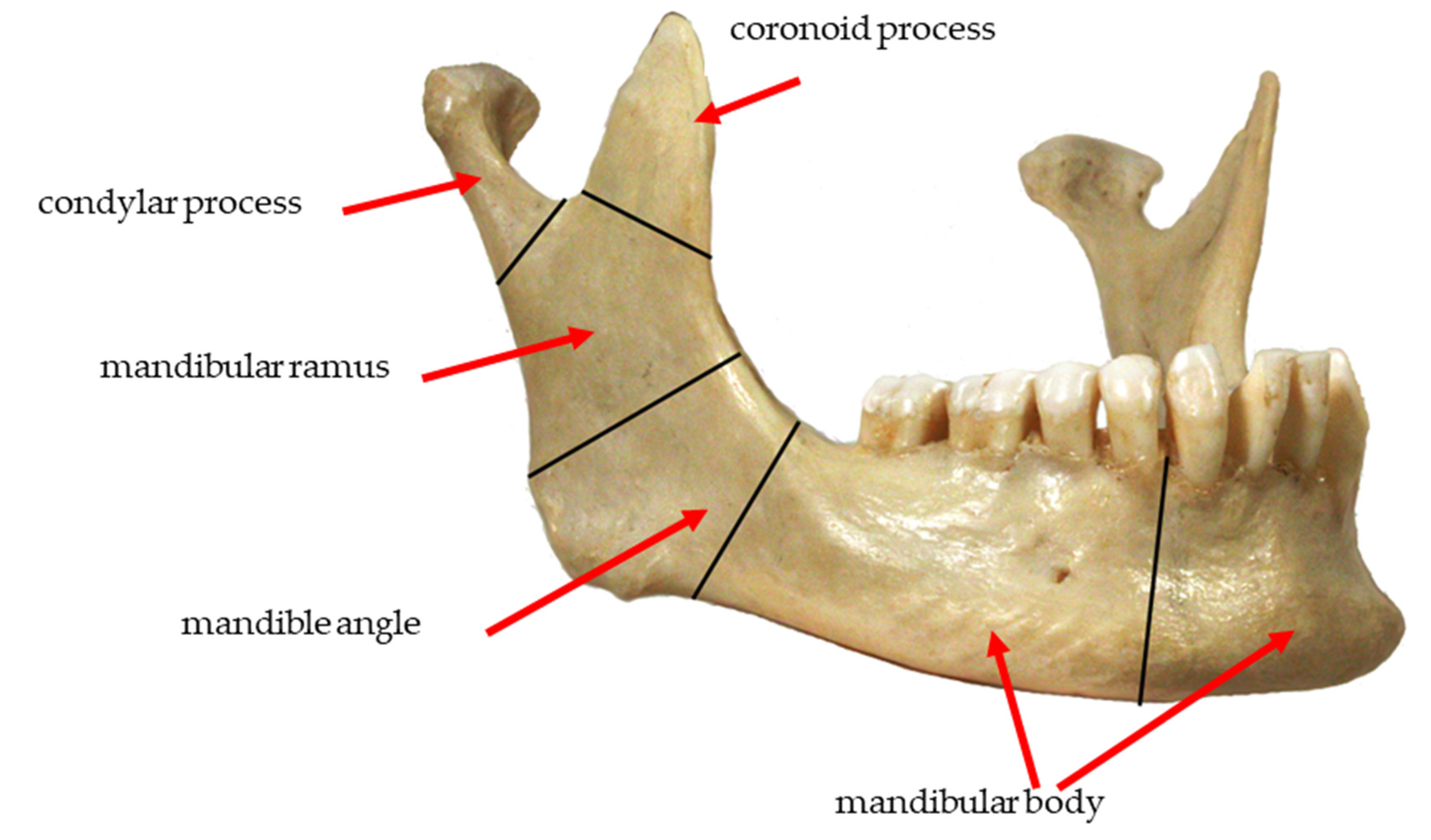 Materials 14 05031 g014 Materials 14 05031 g014