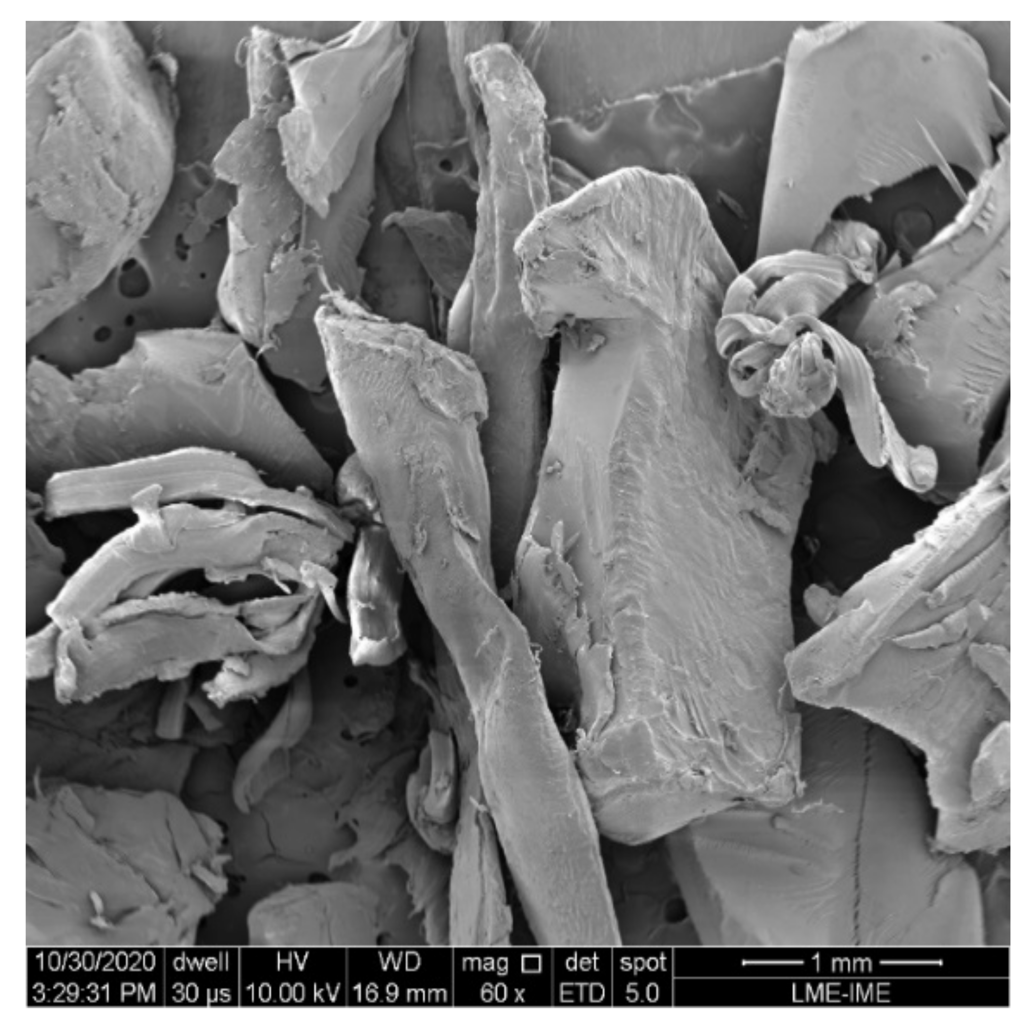 Materials 14 05035 g005