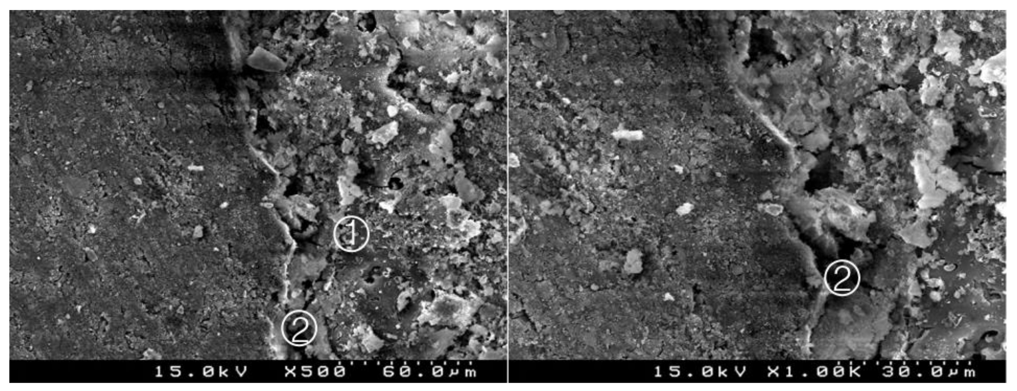 Materials 14 05055 g003 550