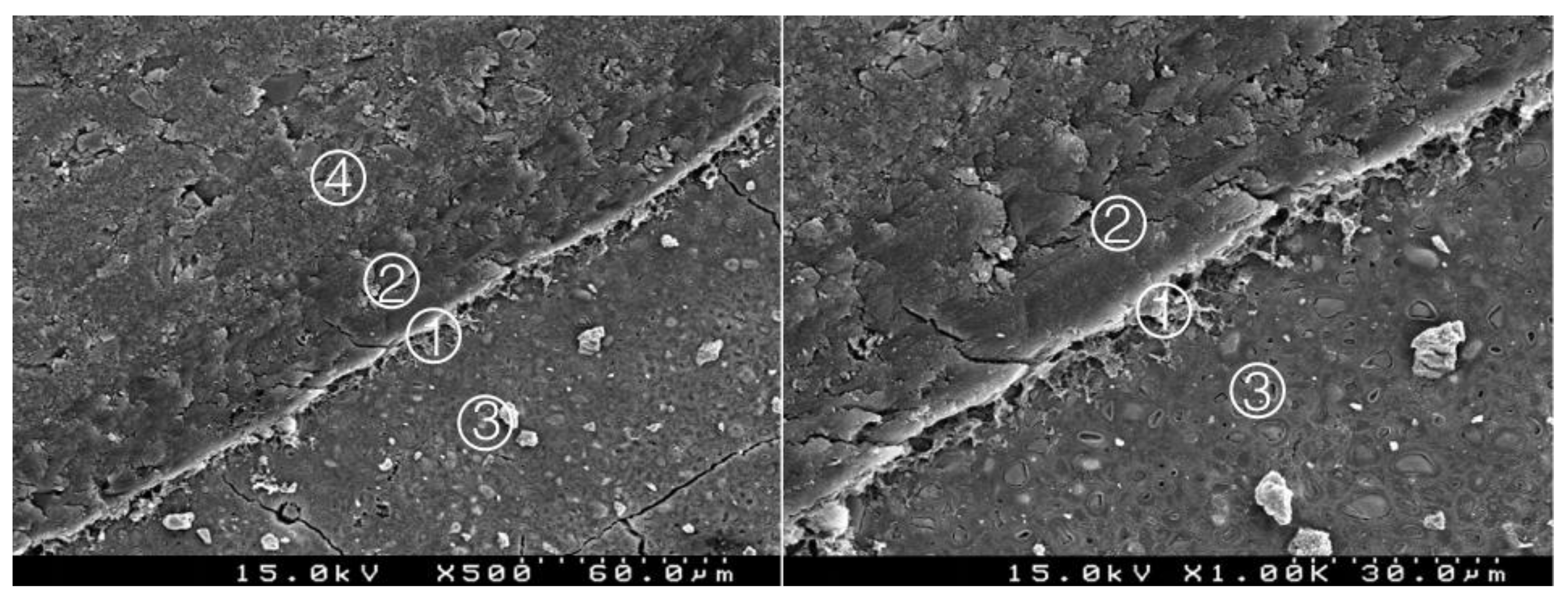 Materials 14 05055 g004 550