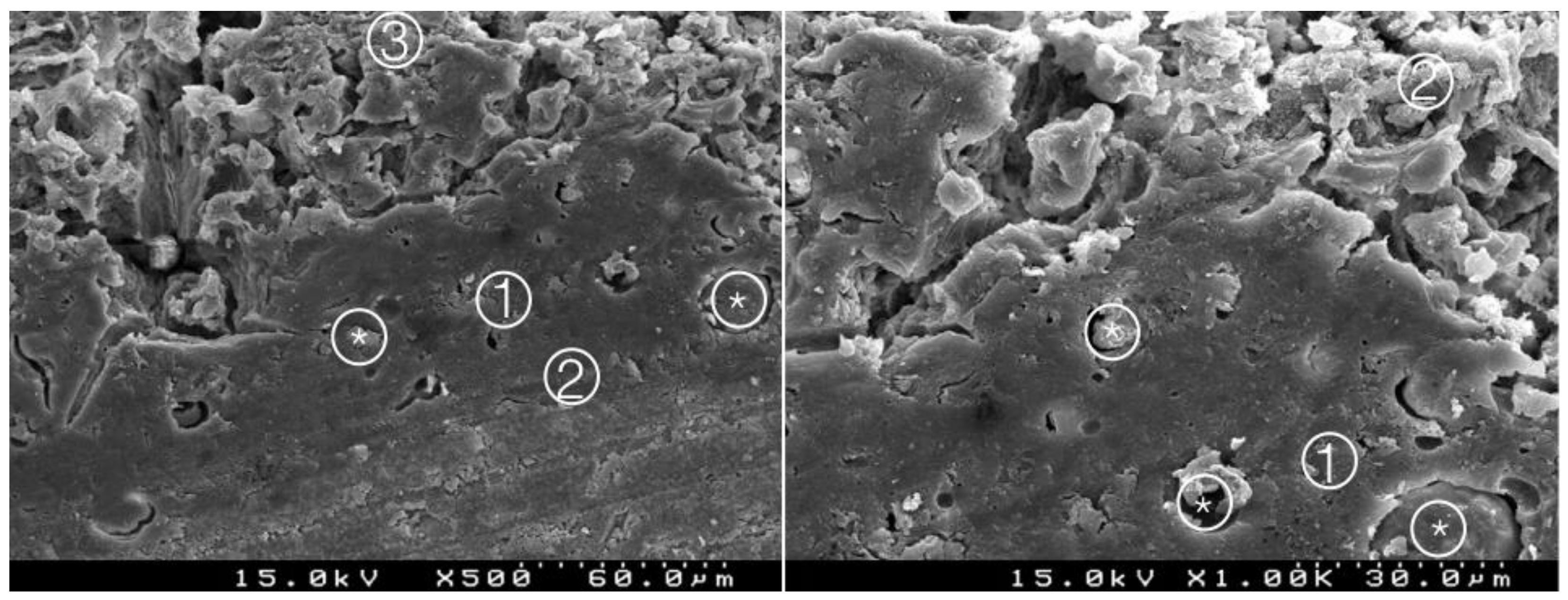 Materials 14 05055 g005 550