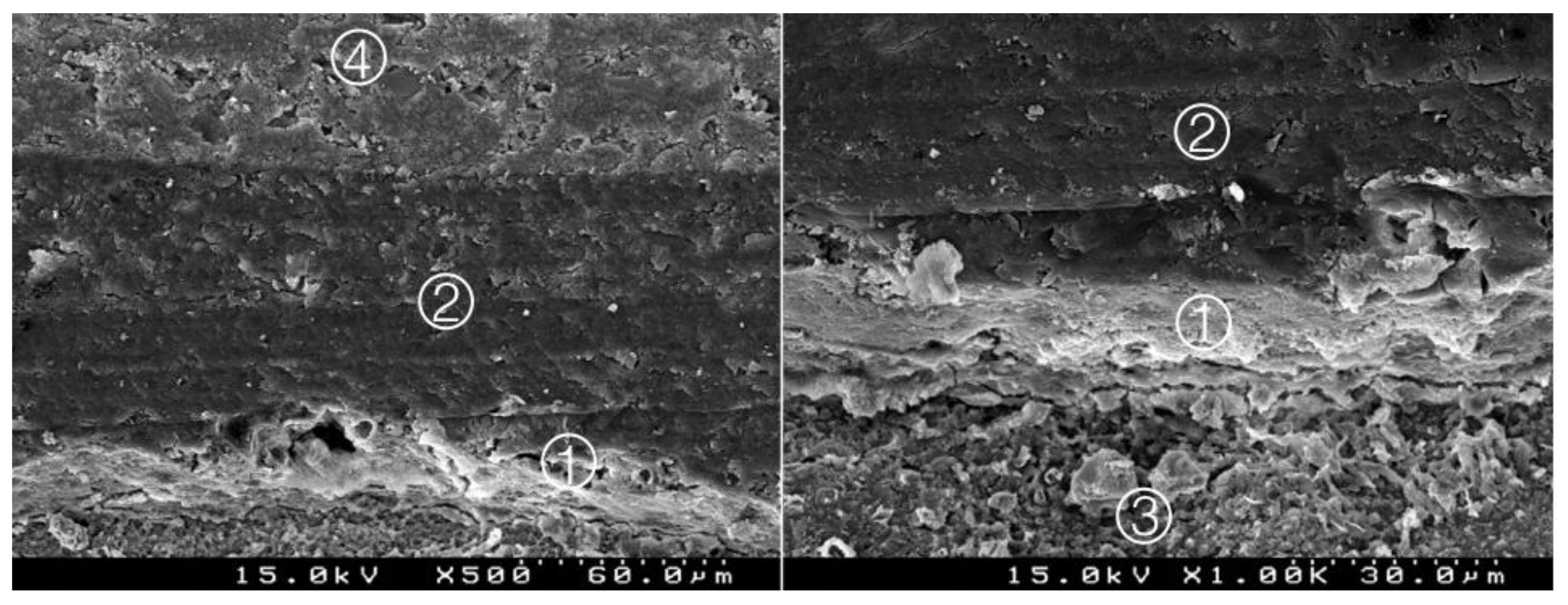 Materials 14 05055 g006 550