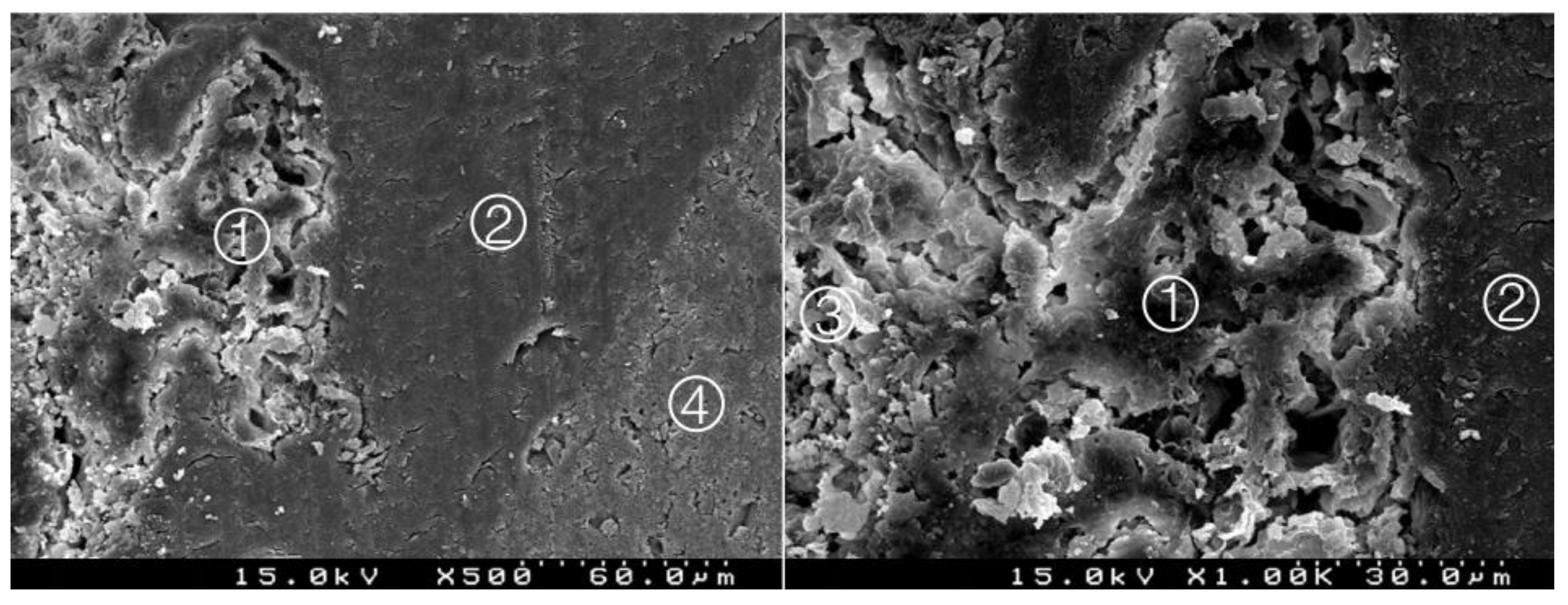 Materials 14 05055 g007 550