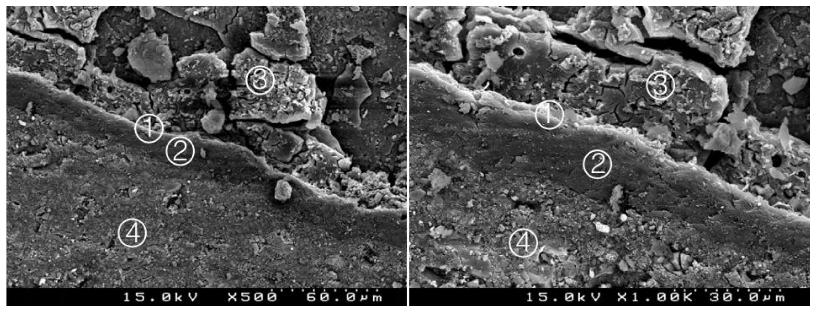 Materials 14 05055 g008 550