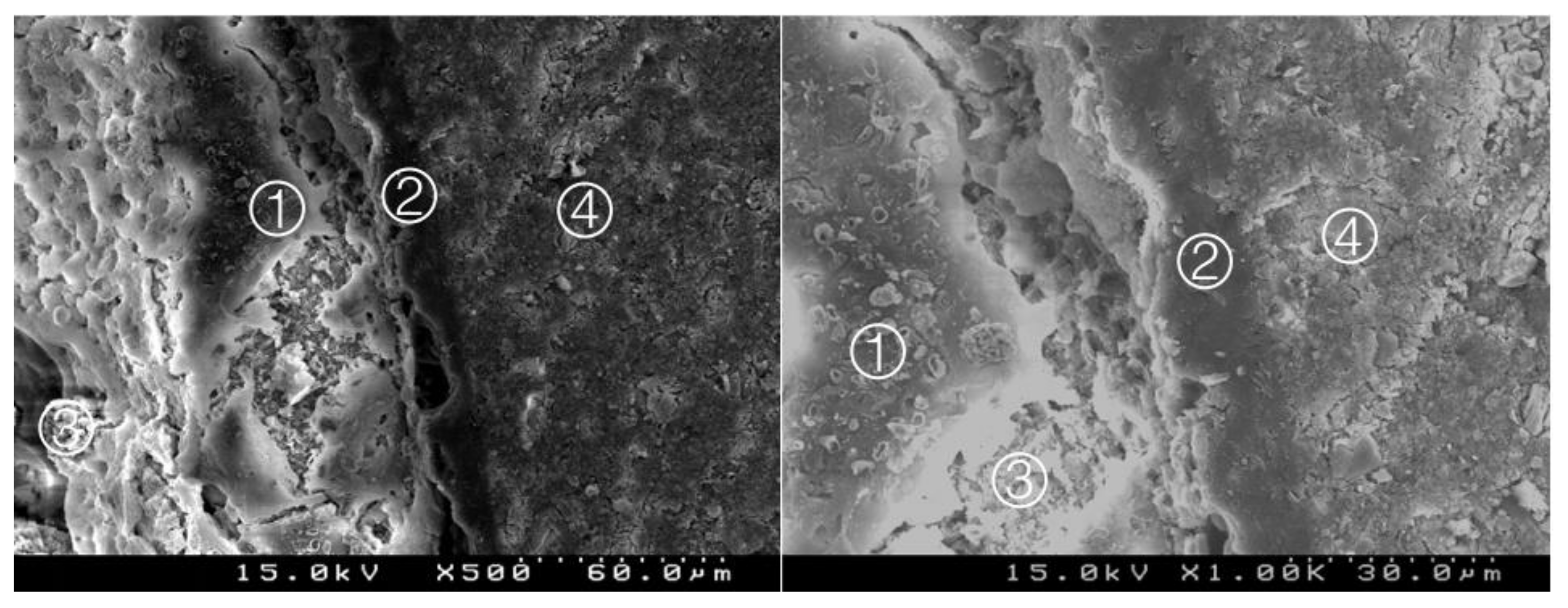 Materials 14 05055 g009 550