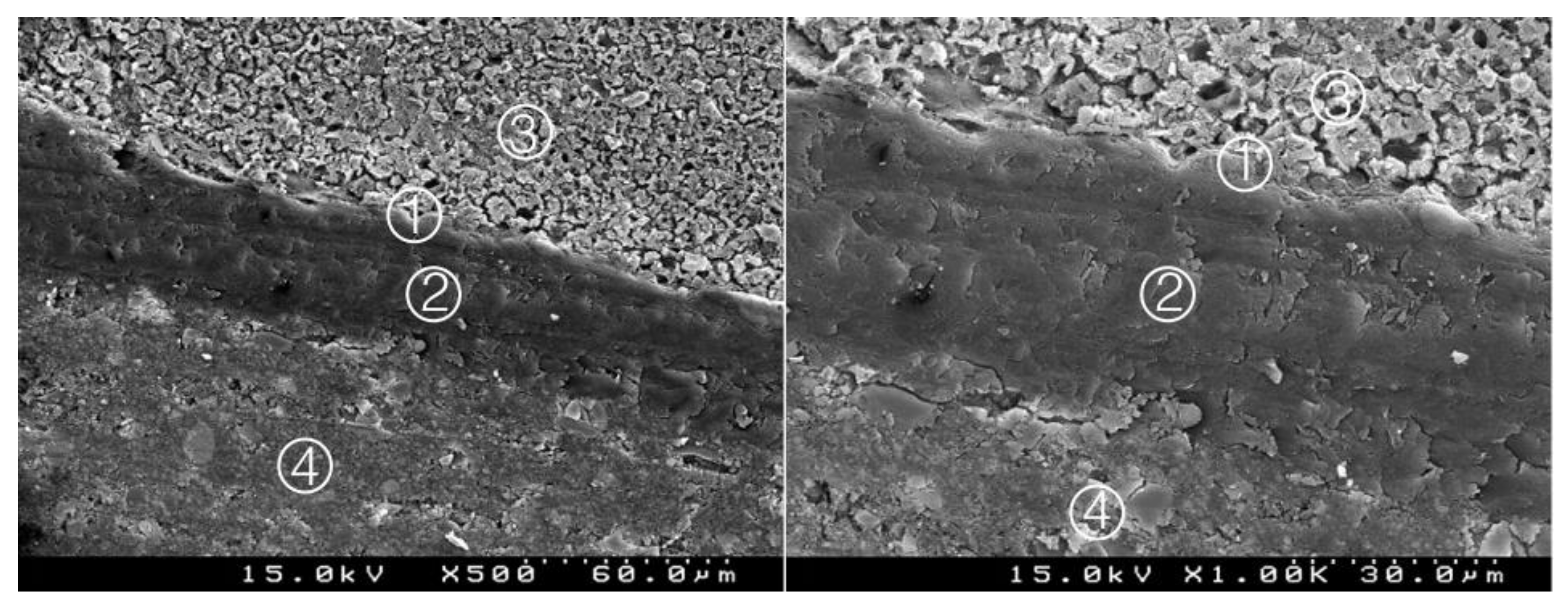 Materials 14 05055 g010 550