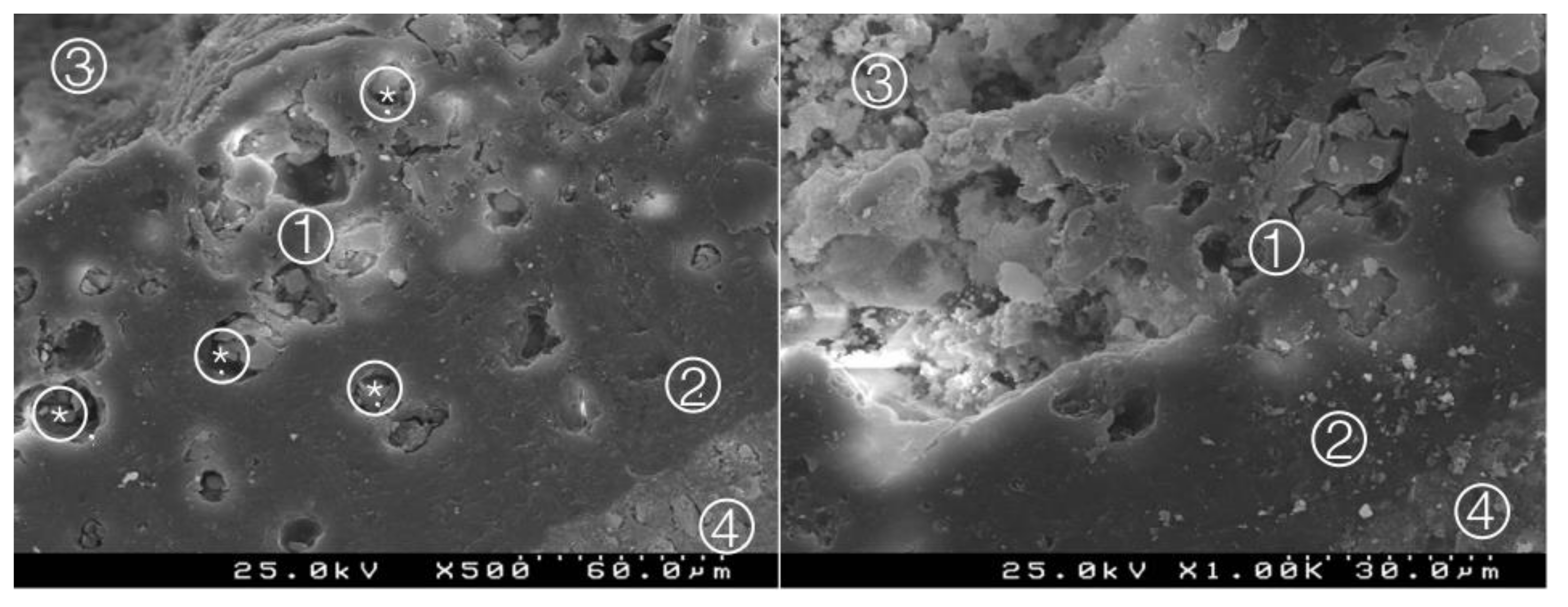 Materials 14 05055 g011 550