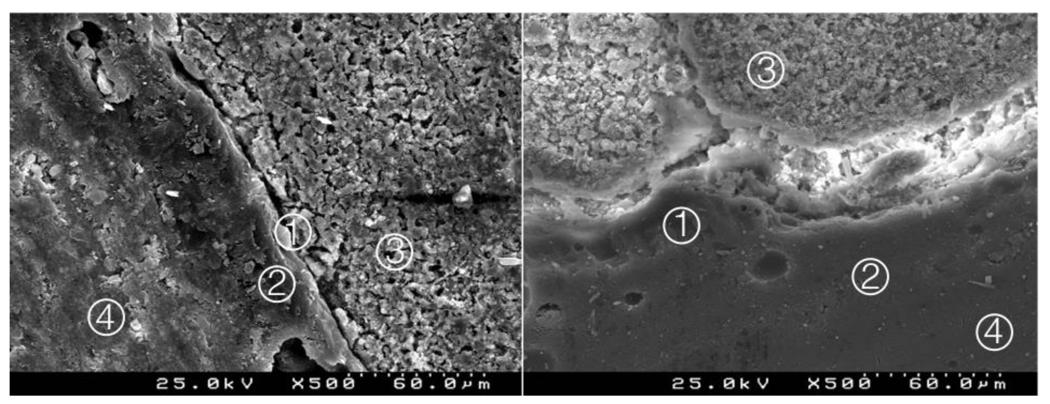 Materials 14 05055 g012 550