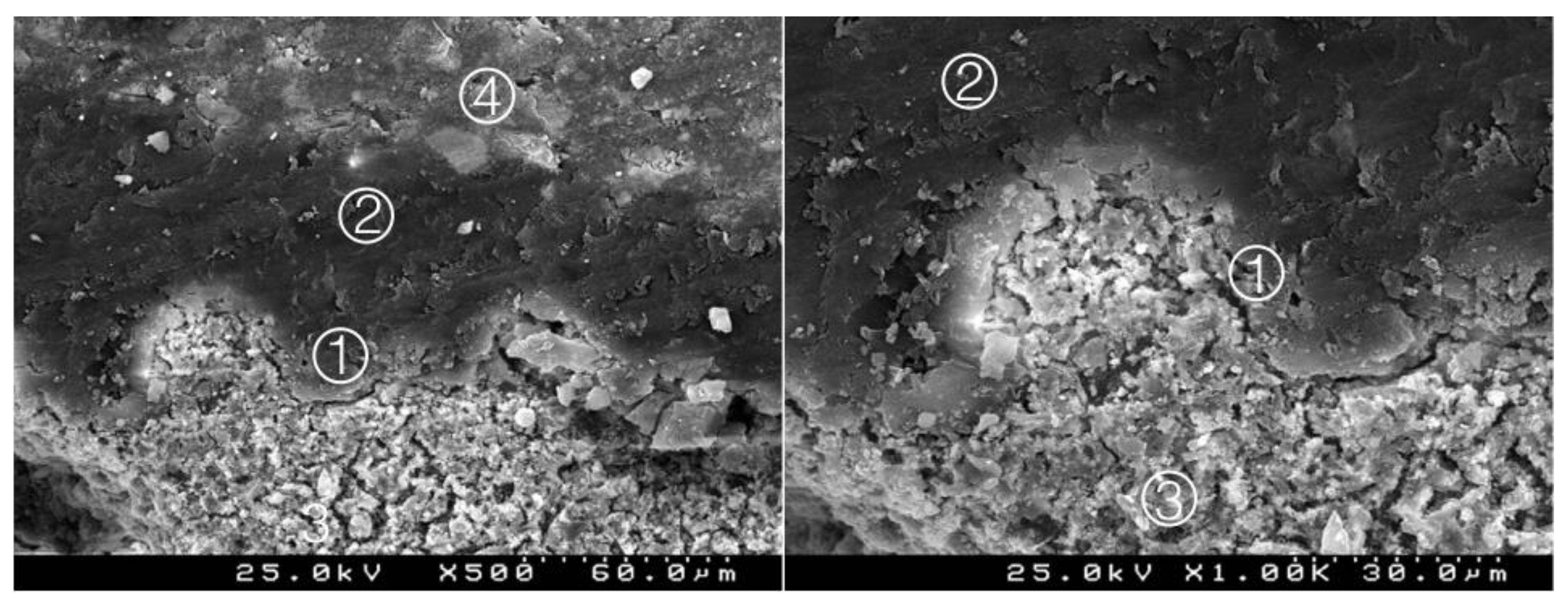 Materials 14 05055 g013 550