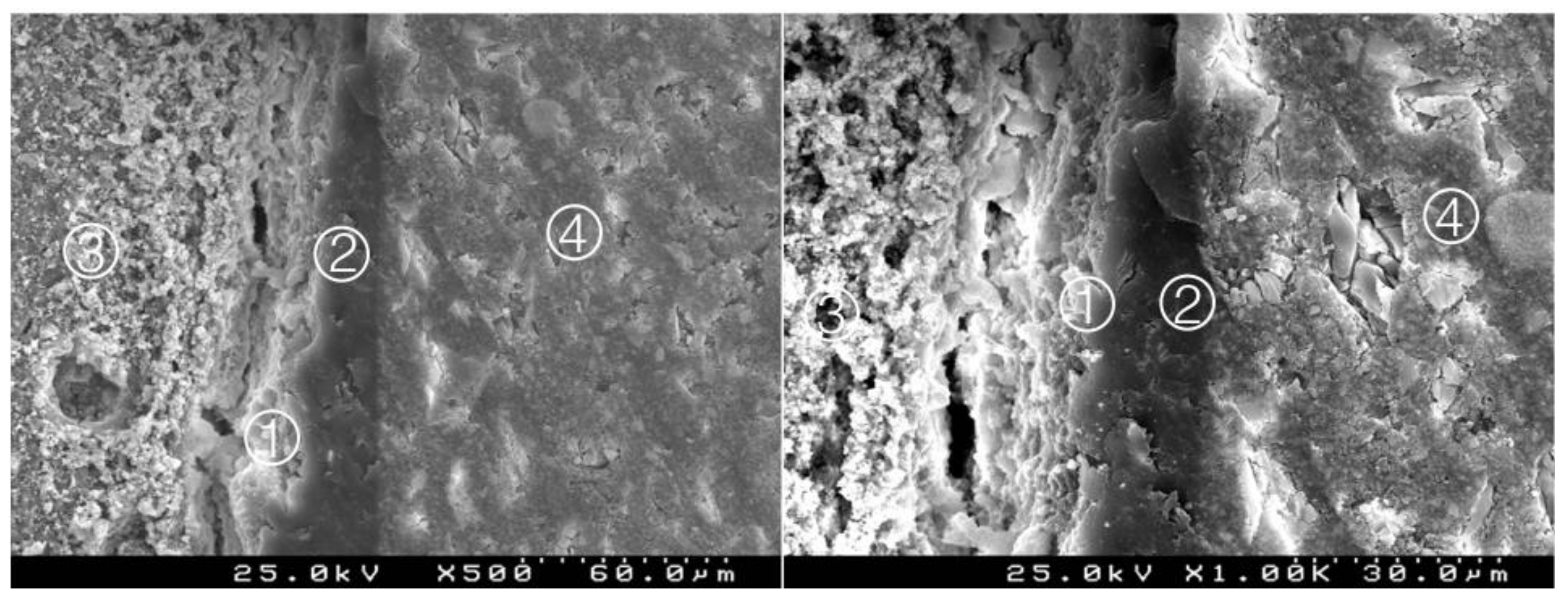 Materials 14 05055 g014 550