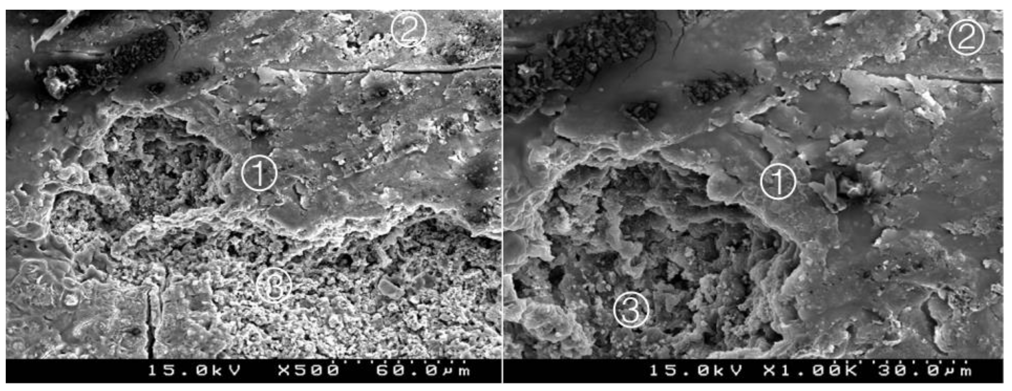 Materials 14 05055 g015 550