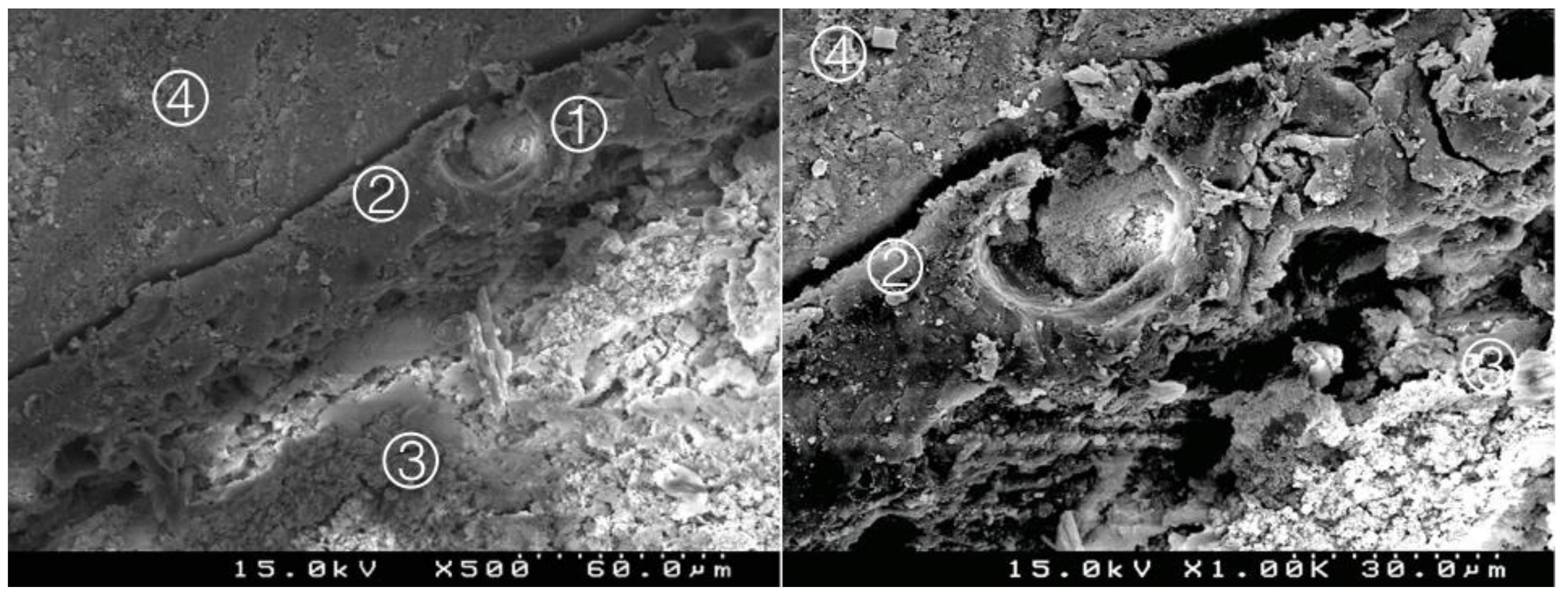 Materials 14 05055 g016 550