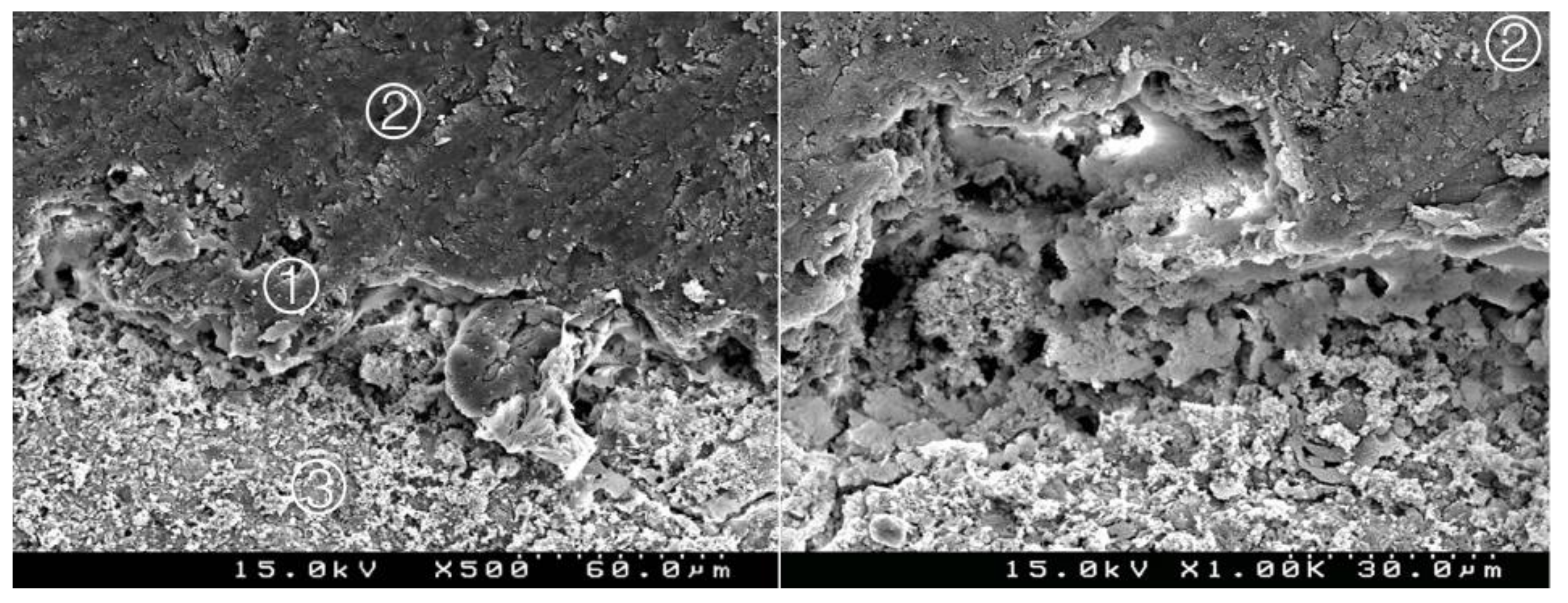 Materials 14 05055 g017 550