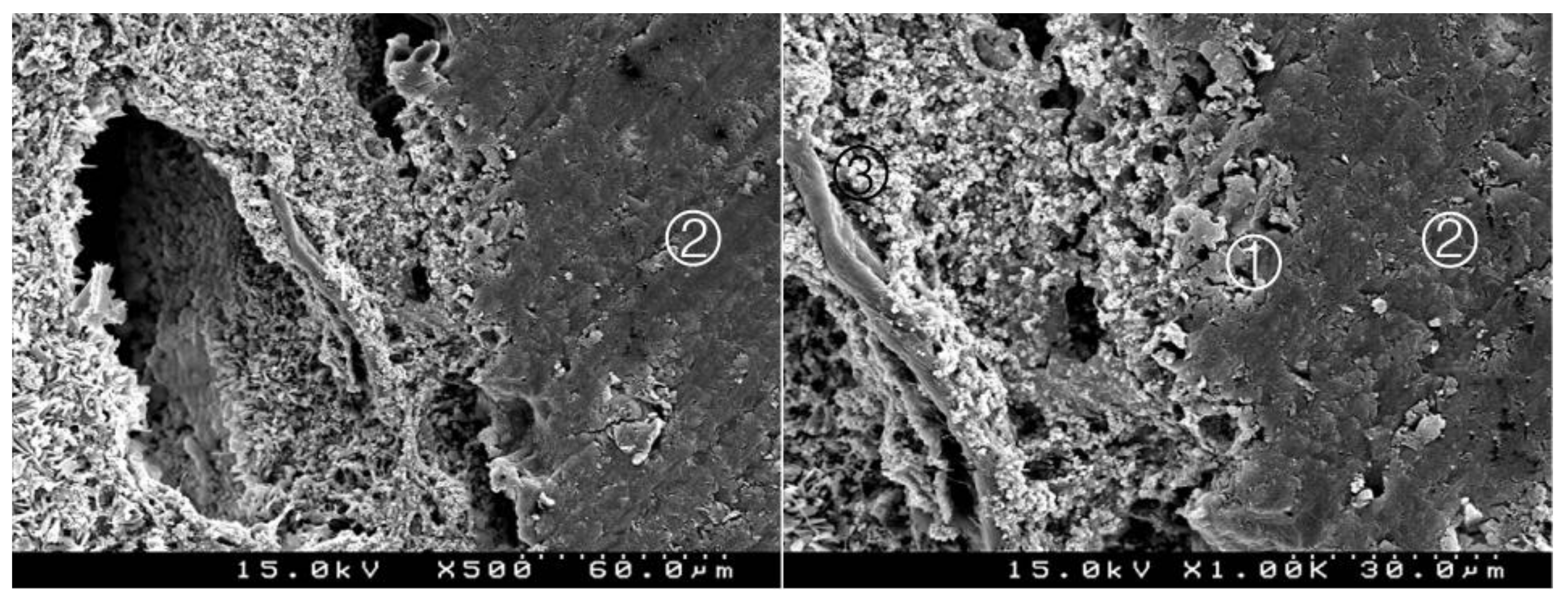 Materials 14 05055 g018 550