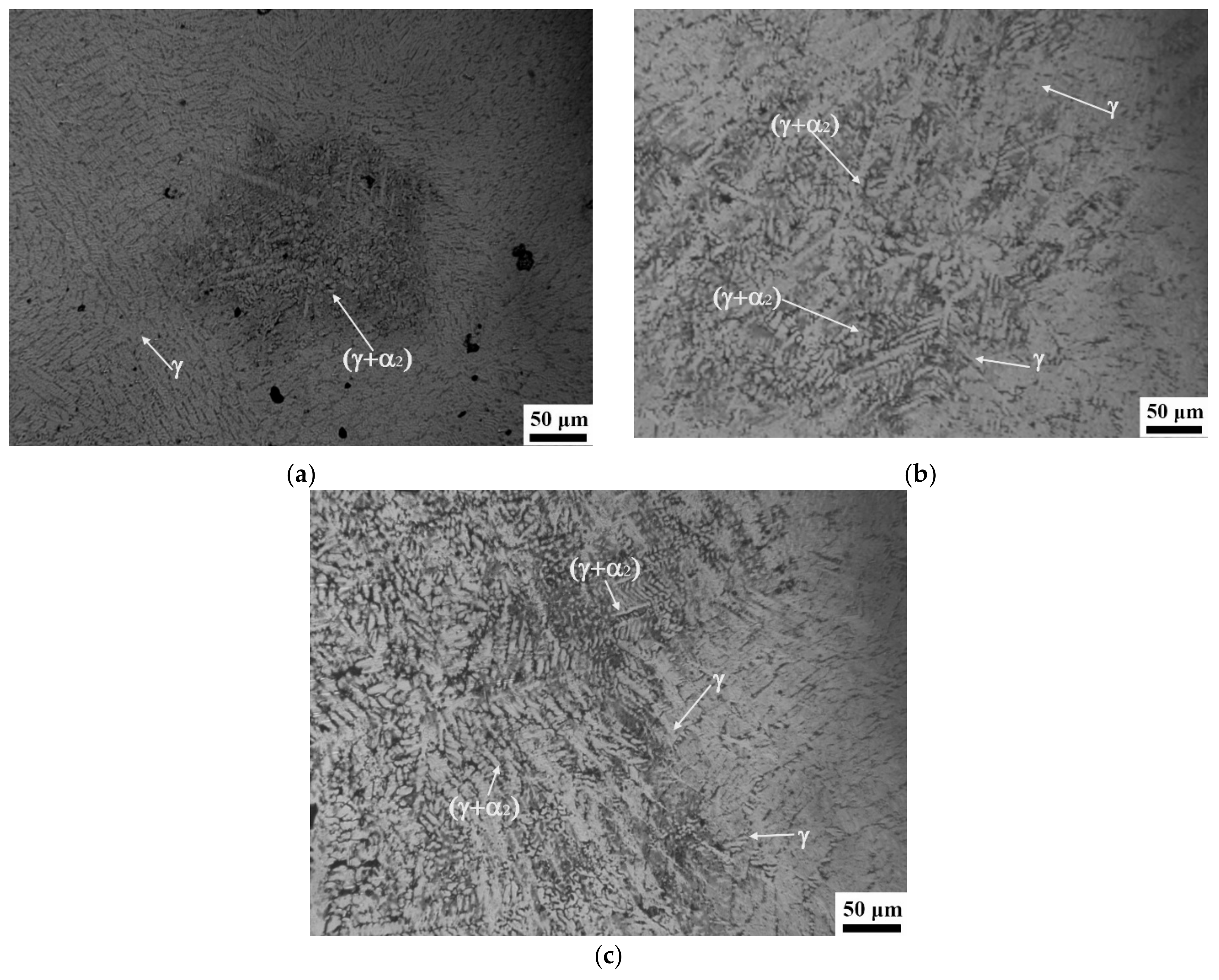 Materials 14 05056 g005 550