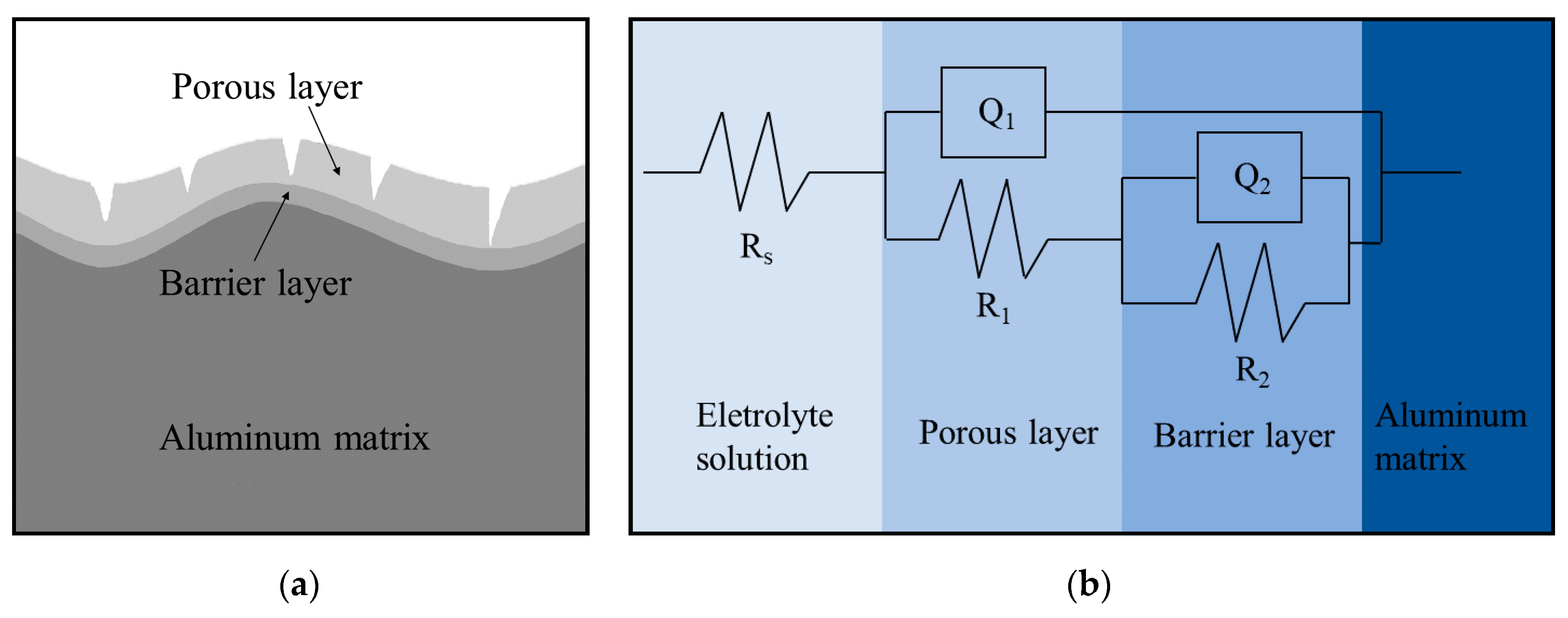 Materials 14 05062 g003 550