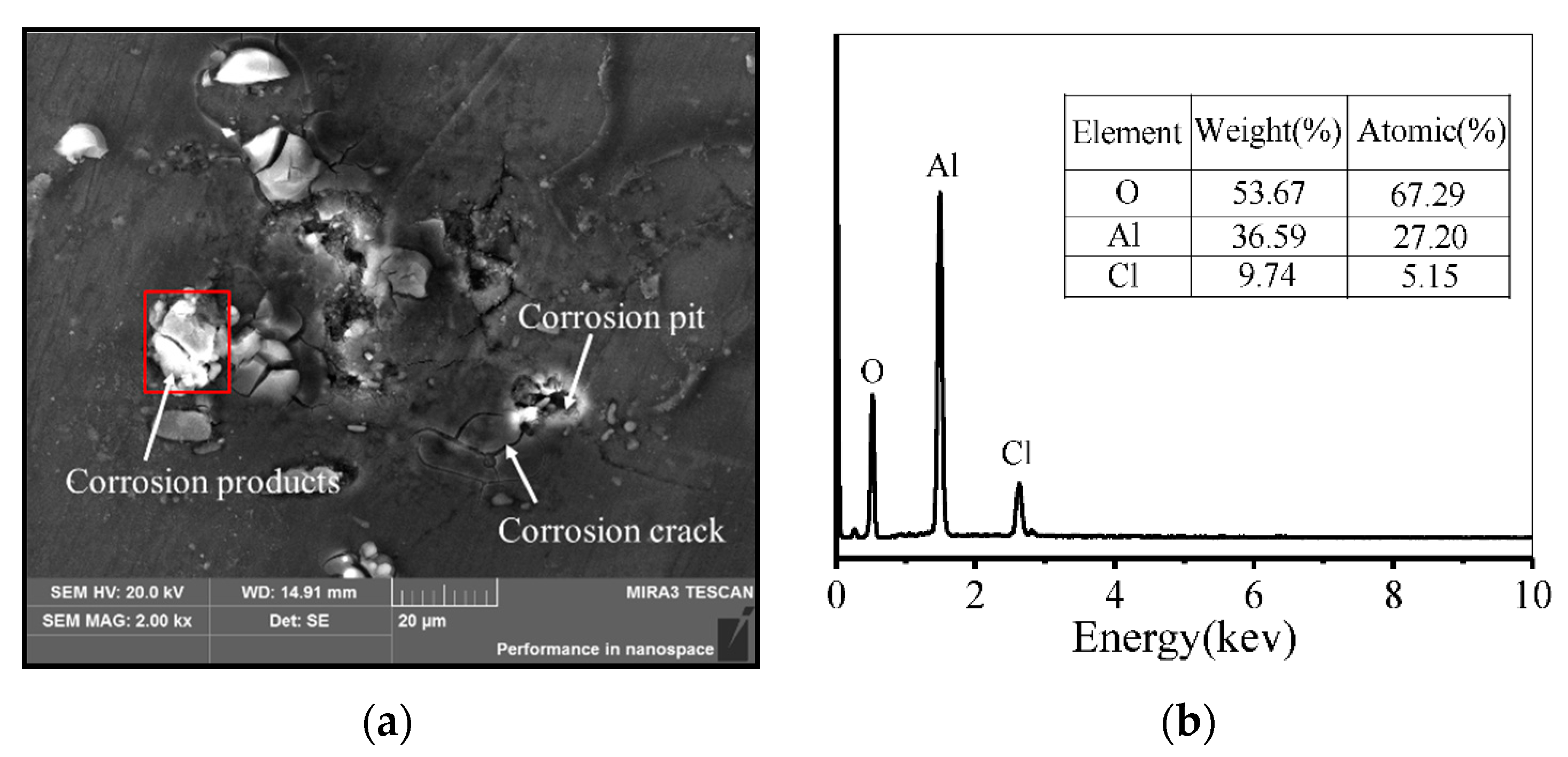 Materials 14 05062 g006 550