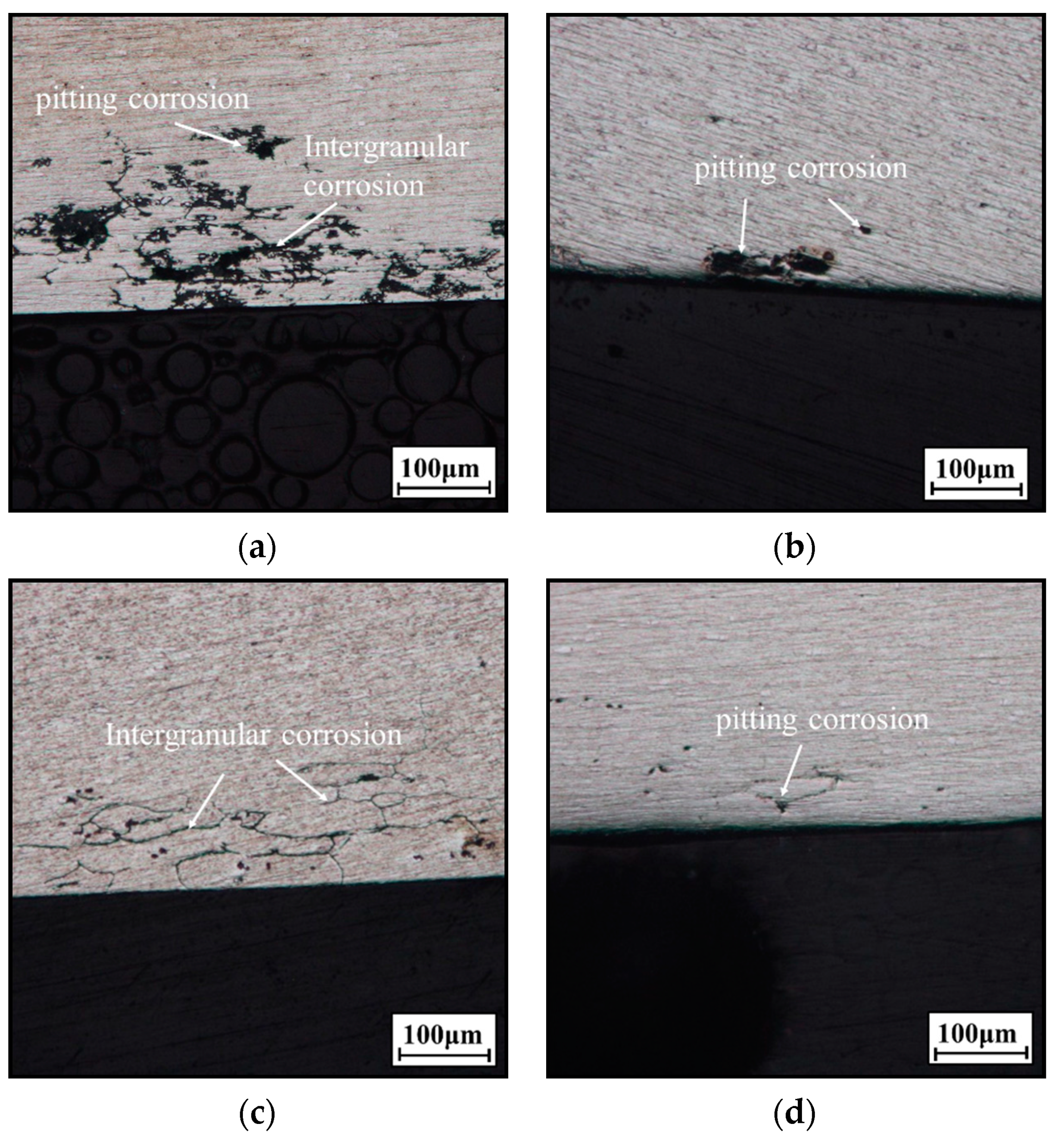 Materials 14 05062 g008 550