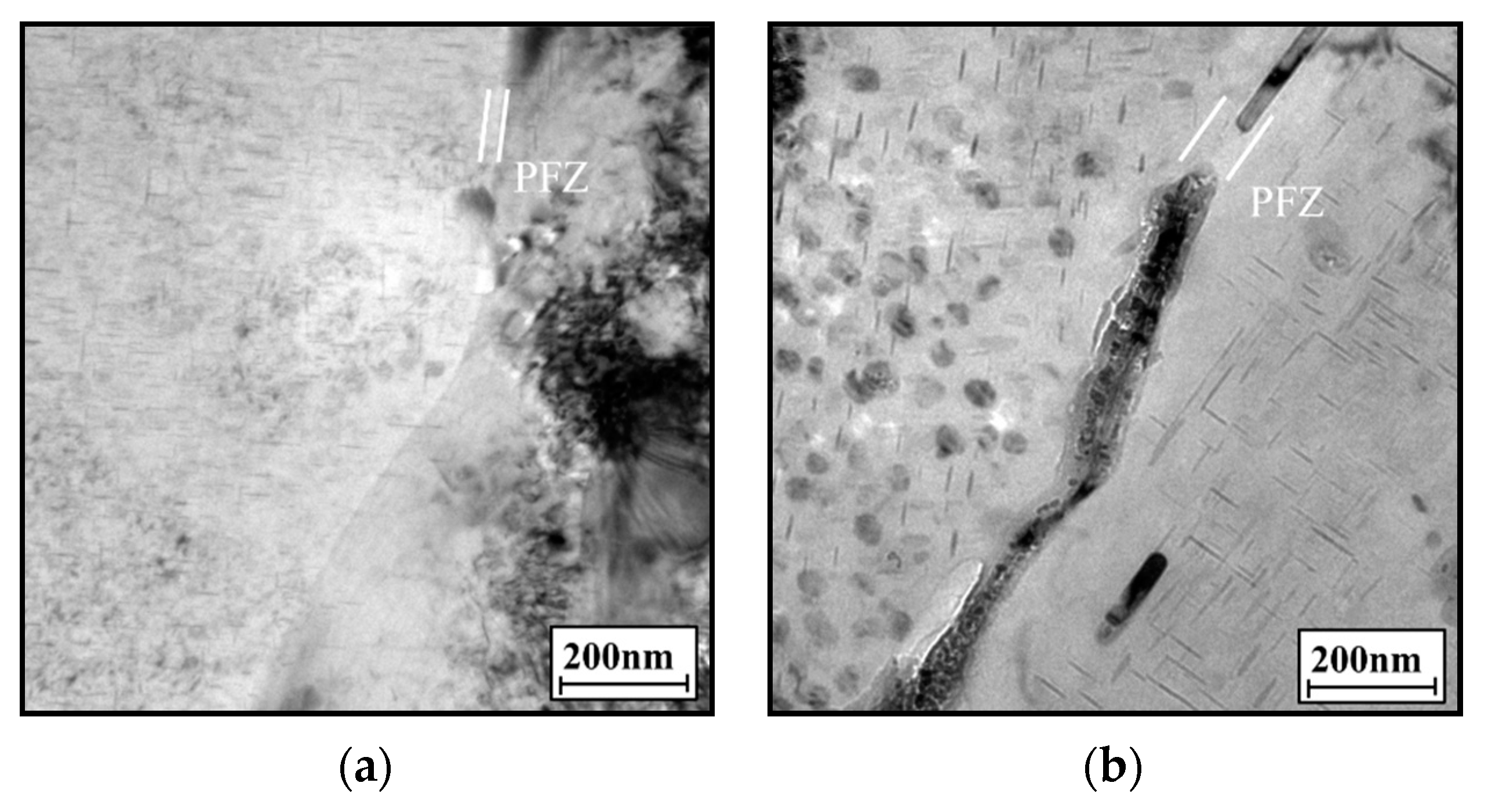 Materials 14 05062 g009a 550