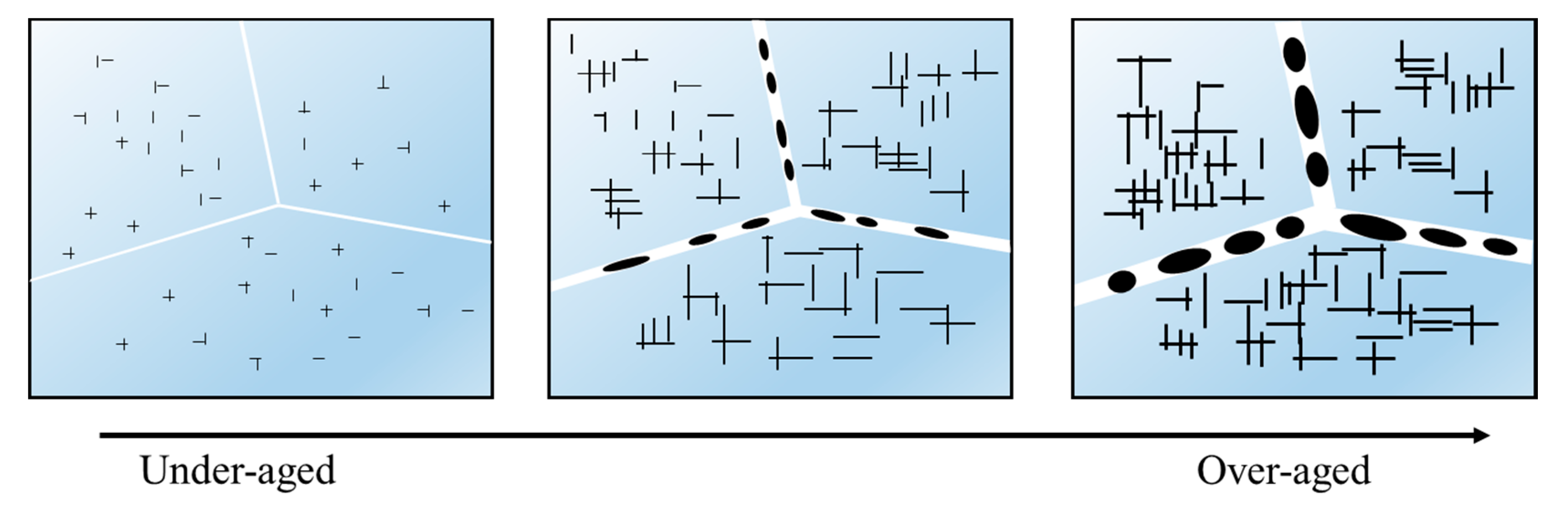 Materials 14 05062 g010 550