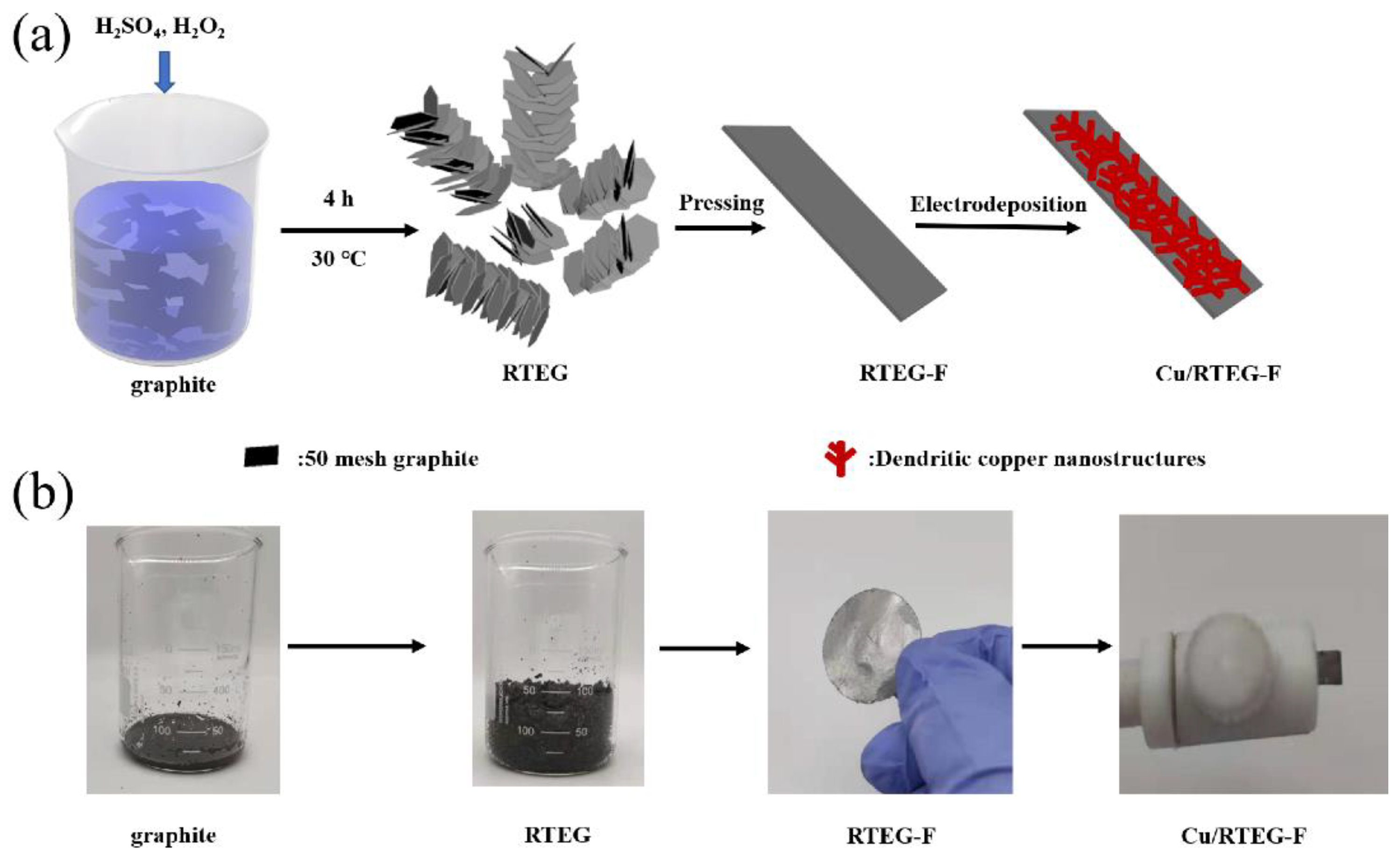 Materials 14 05067 sch001 550