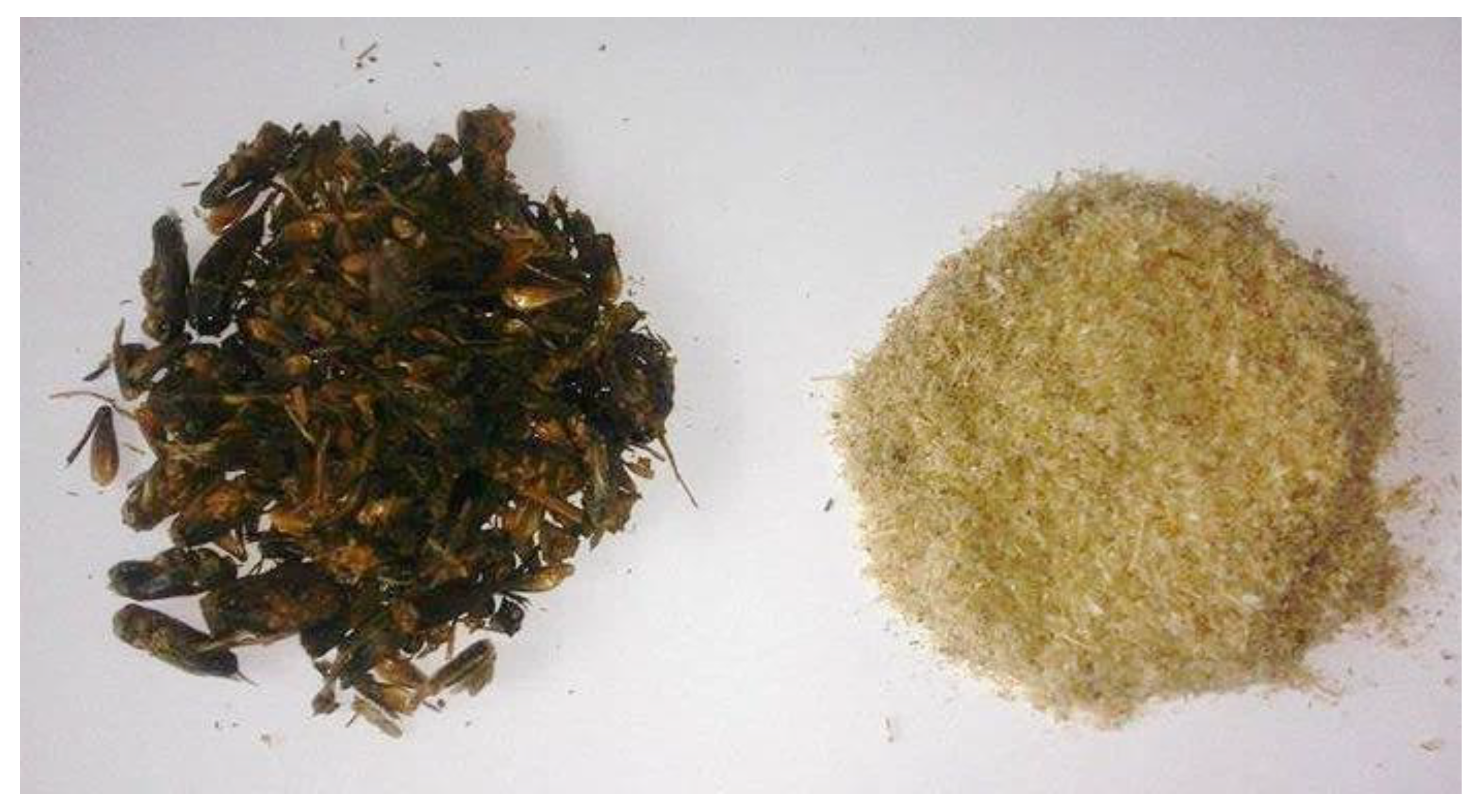 Materials 14 05070 g010 550