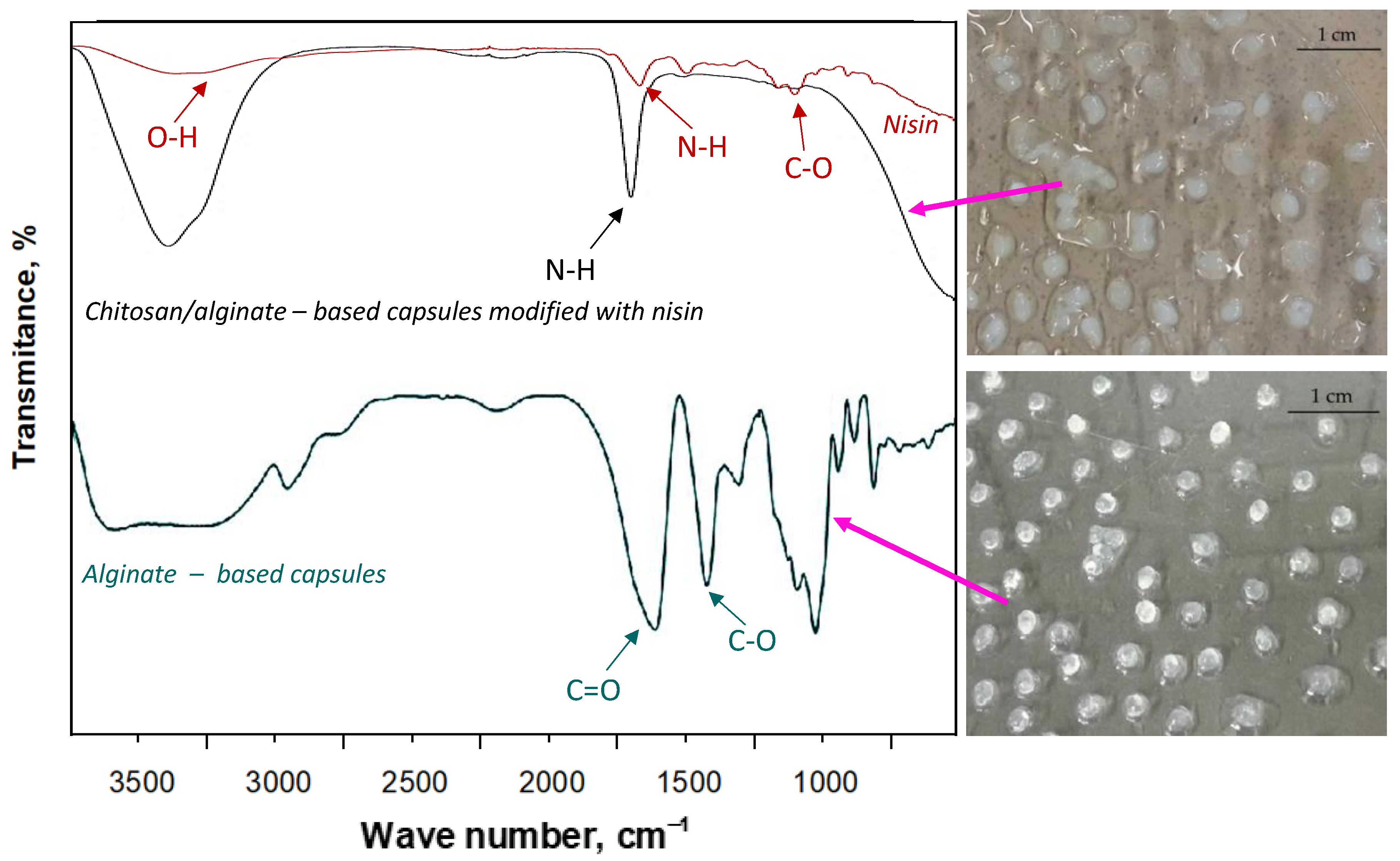 Materials 14 05070 g012 550
