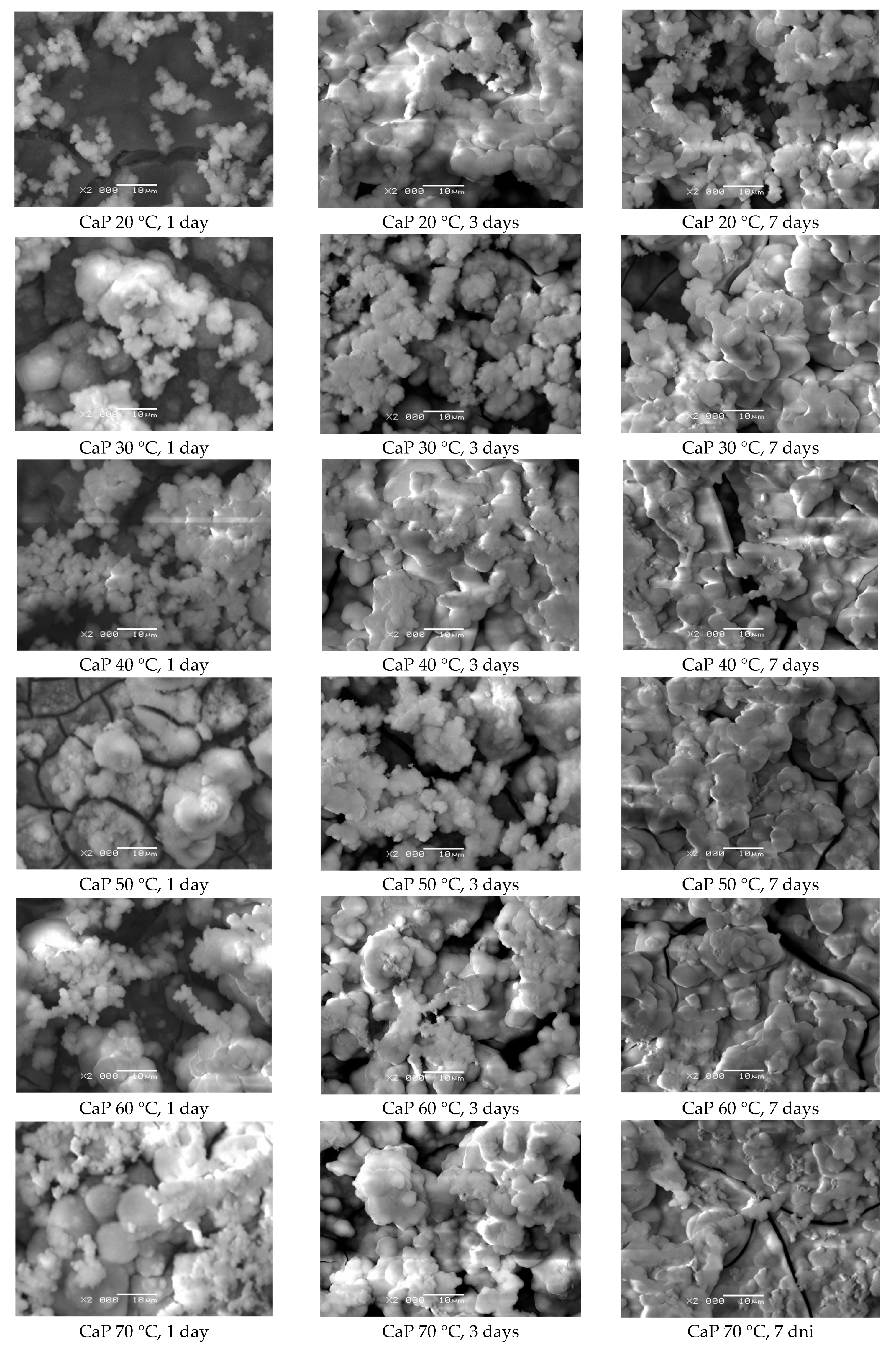 Materials 14 05081 g010 550