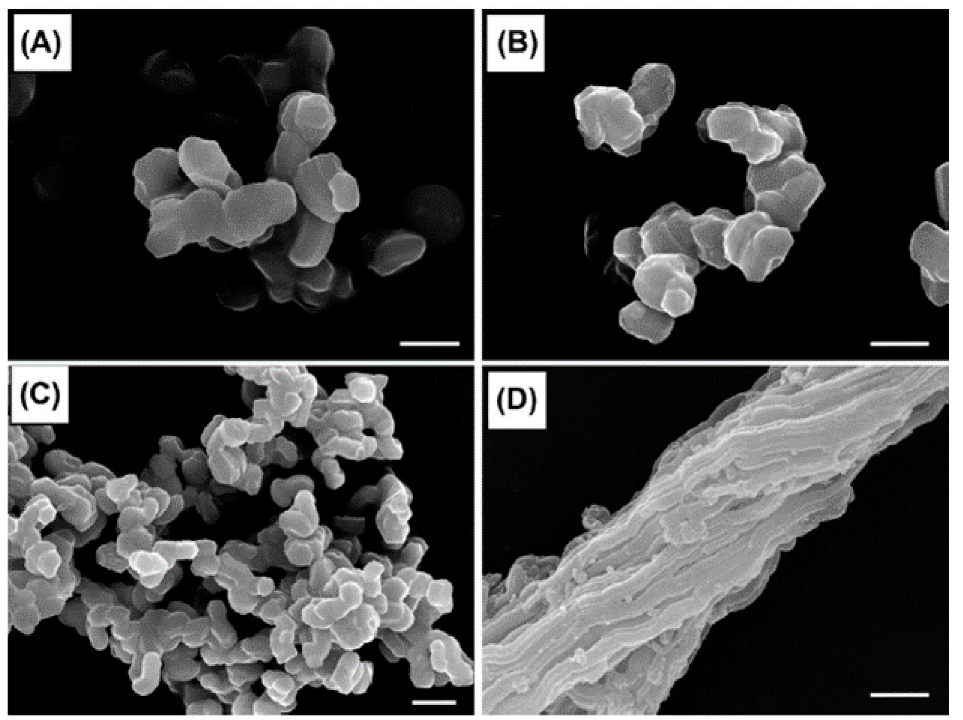 Materials 14 05082 g002