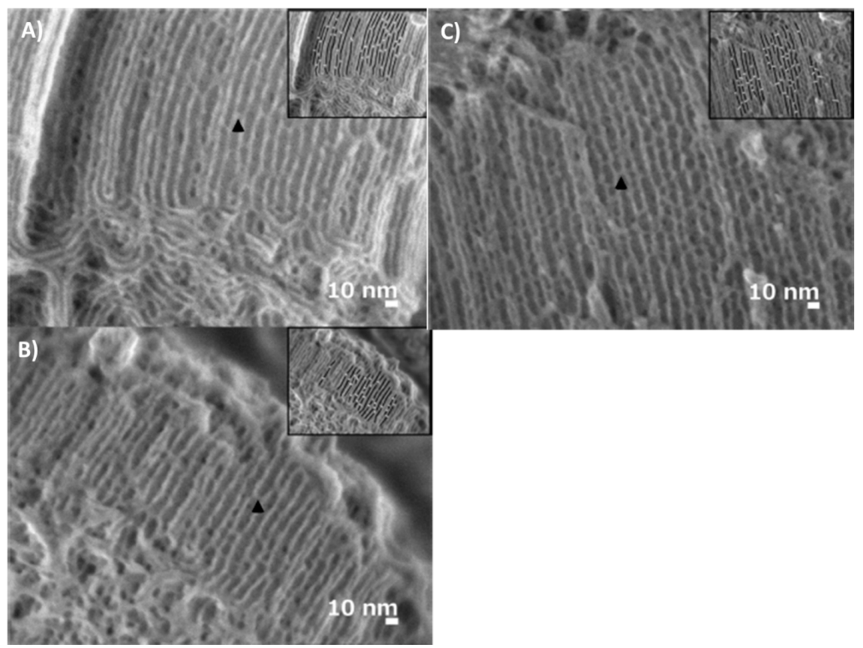 Materials 14 05082 g008
