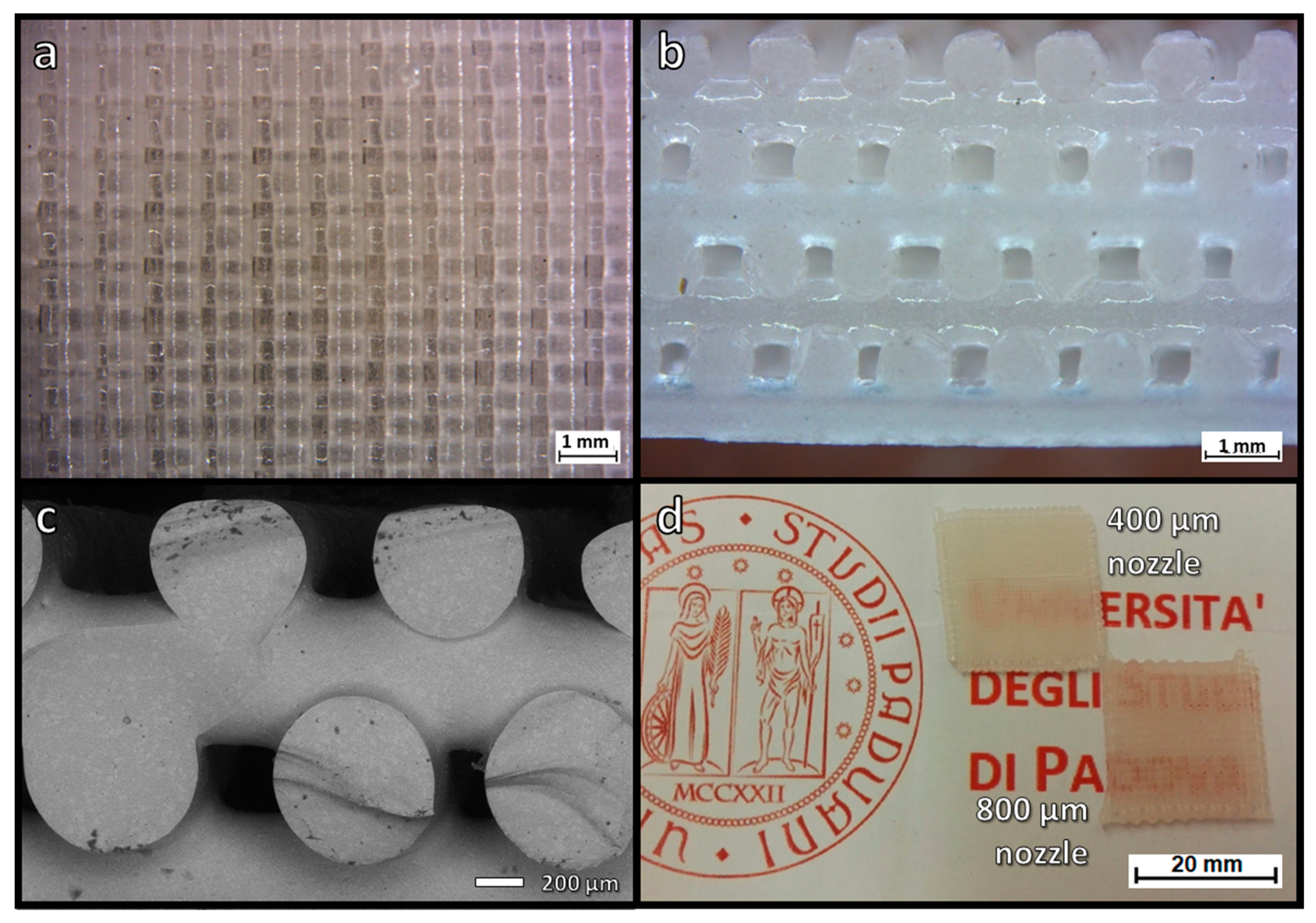 Materials 14 05083 g005