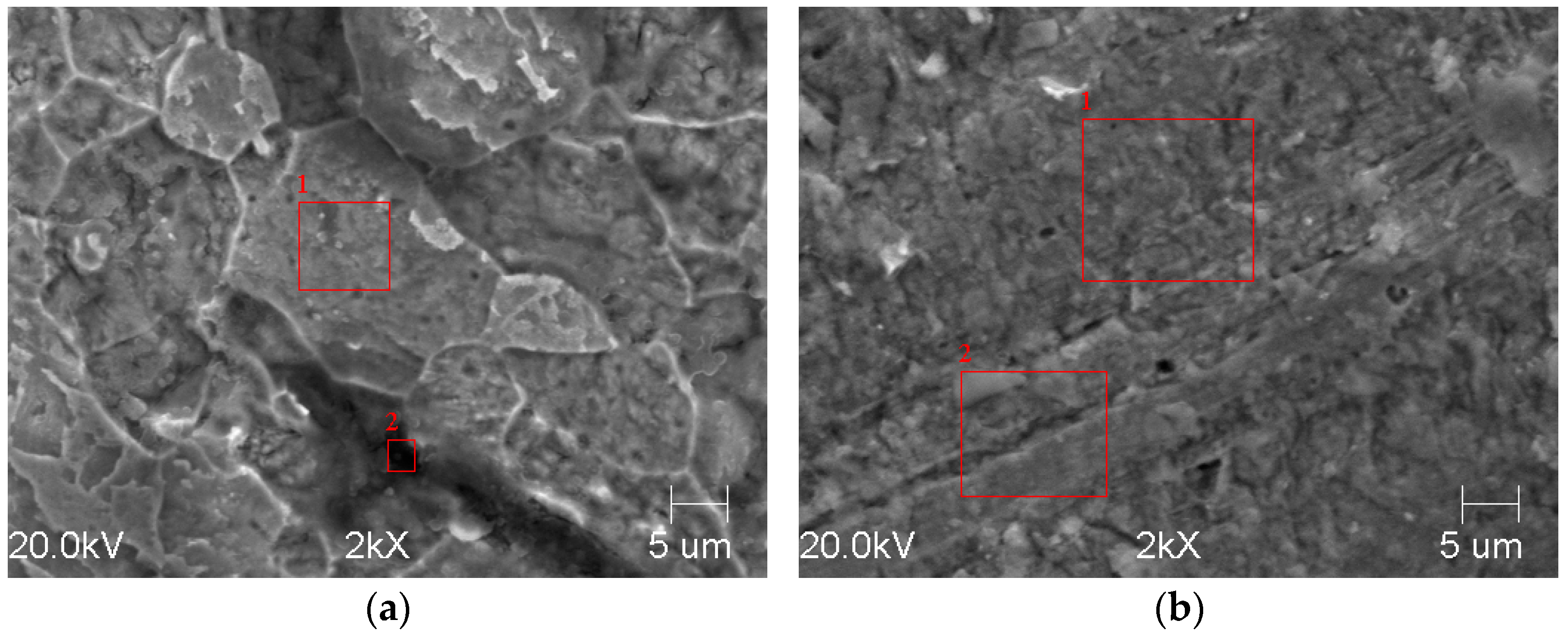 Materials 14 05084 g009