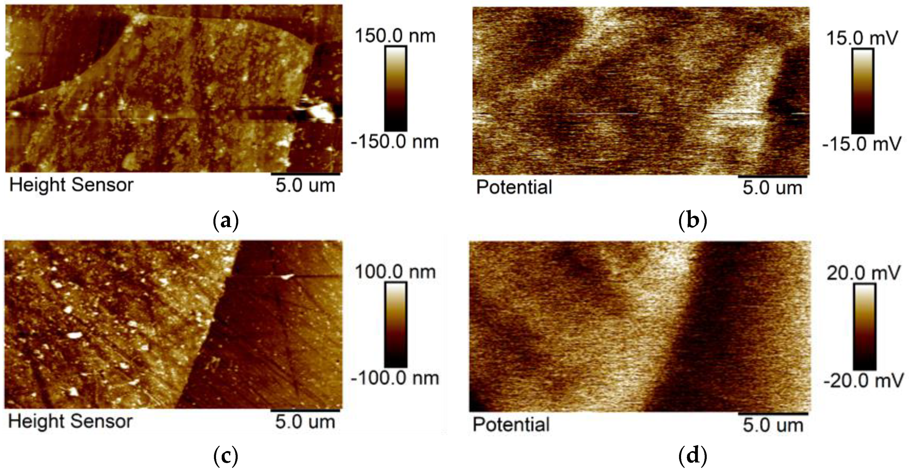 Materials 14 05084 g011