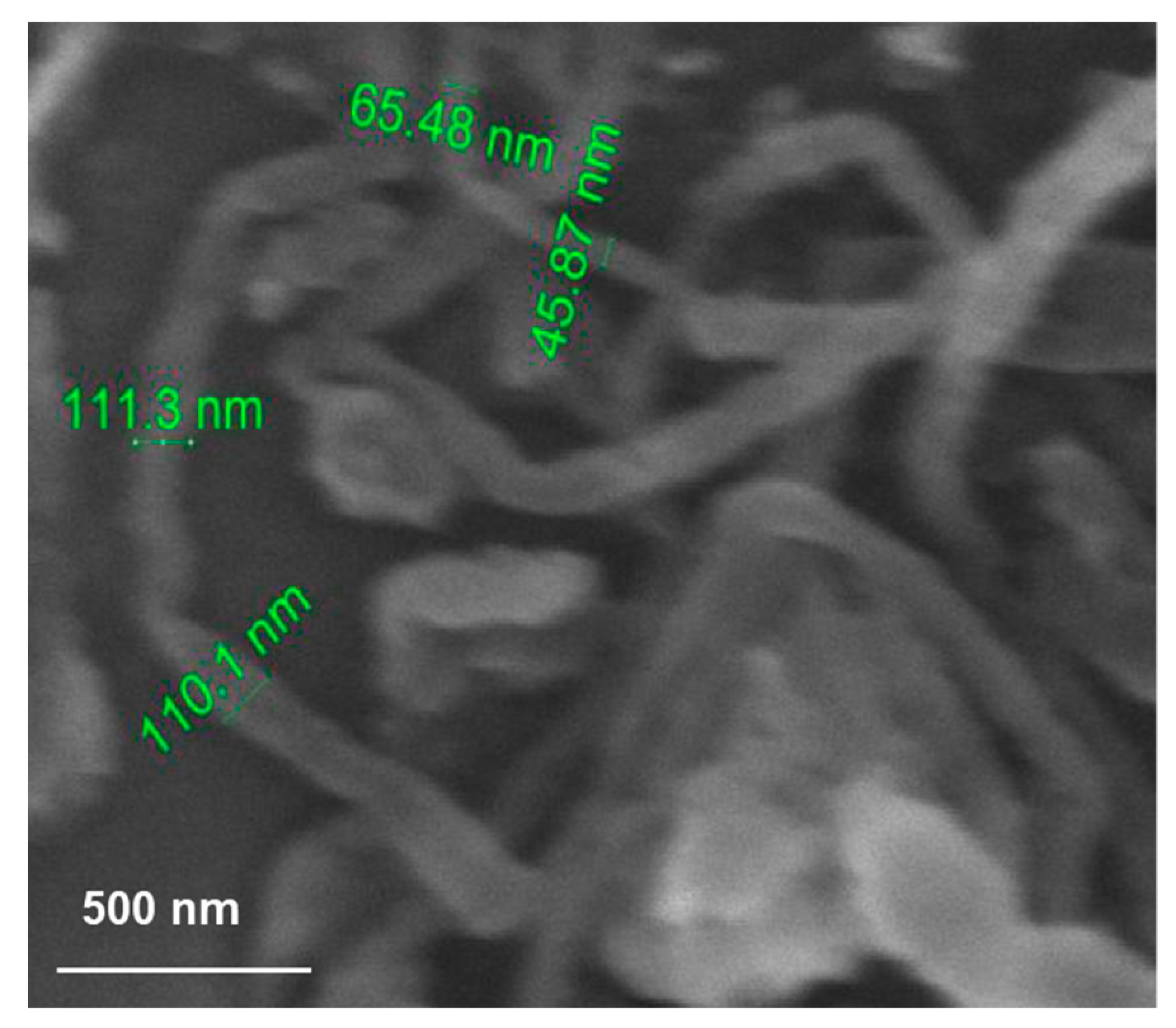 Materials 14 05094 g001