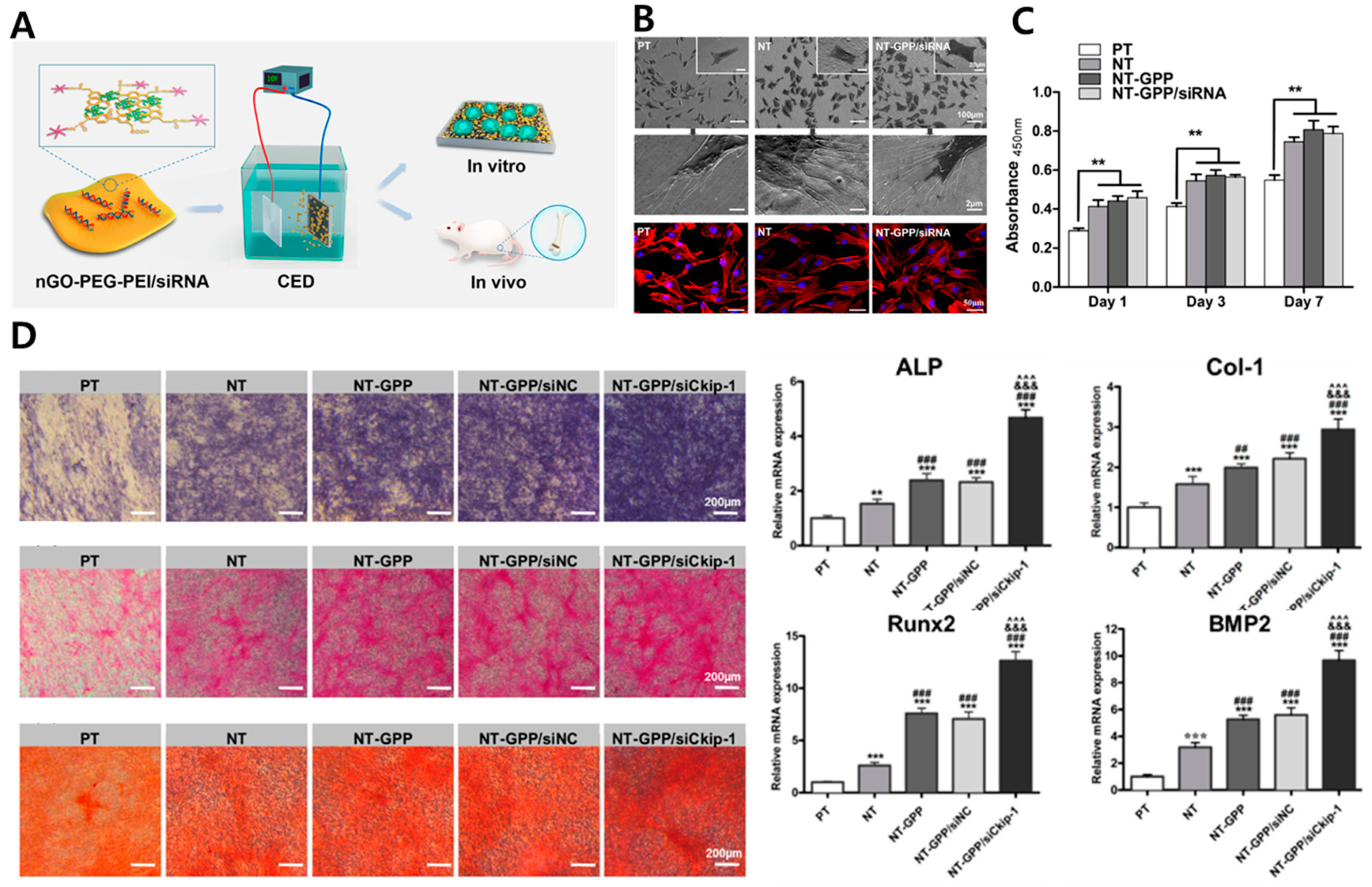 Materials 14 05104 g004