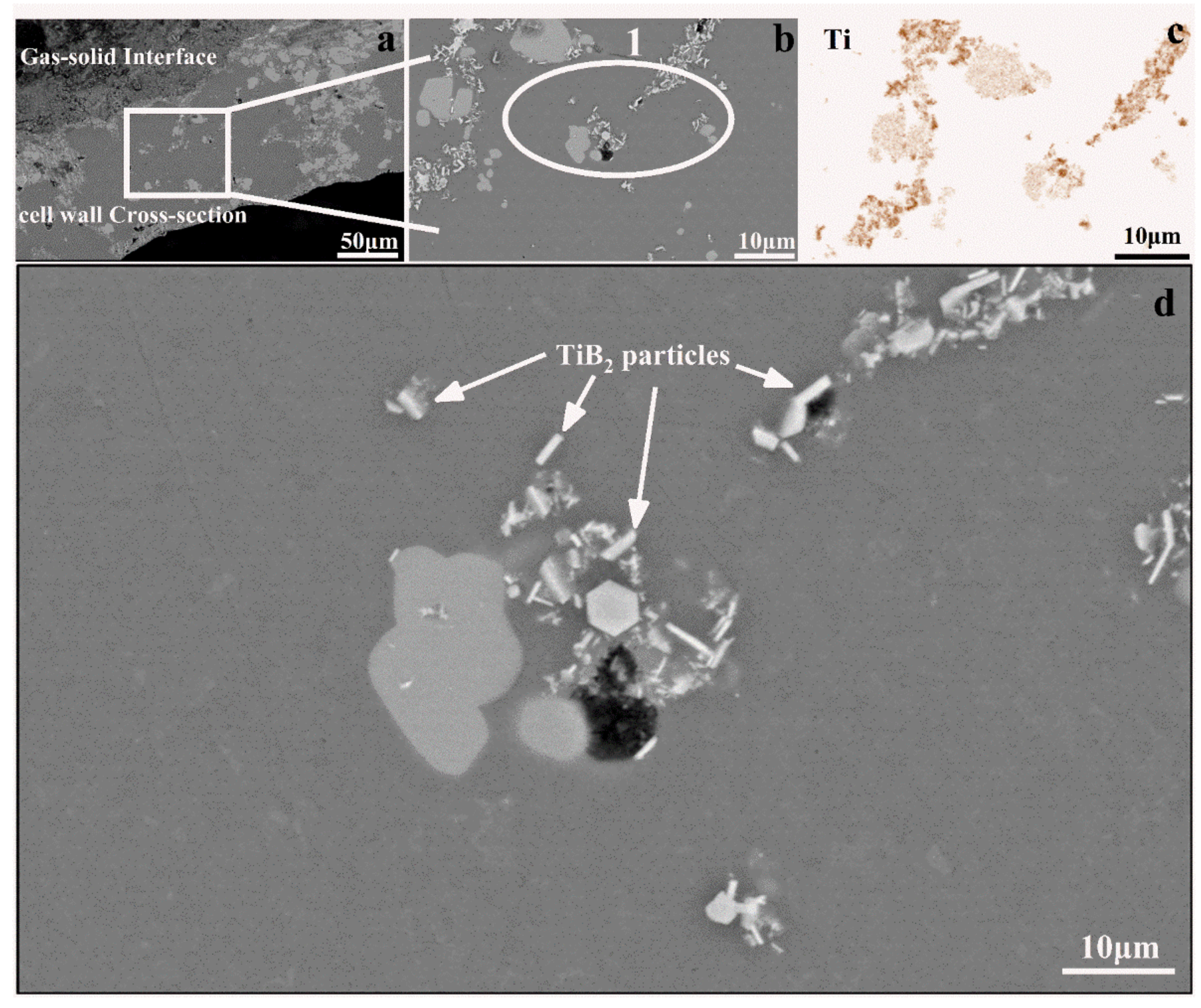 Materials 14 05112 g004