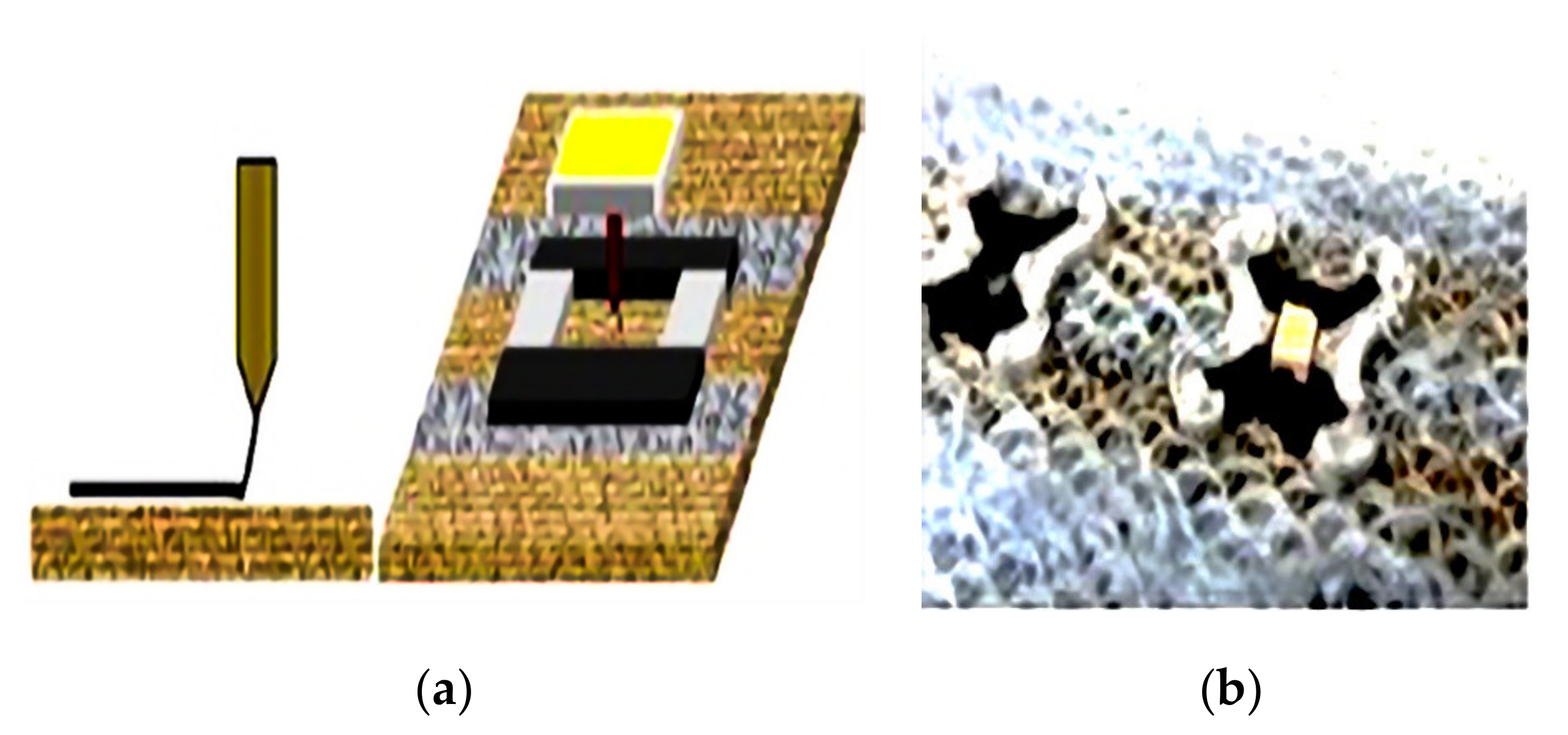 Materials 14 05113 g011 Materials 14 05113 g011