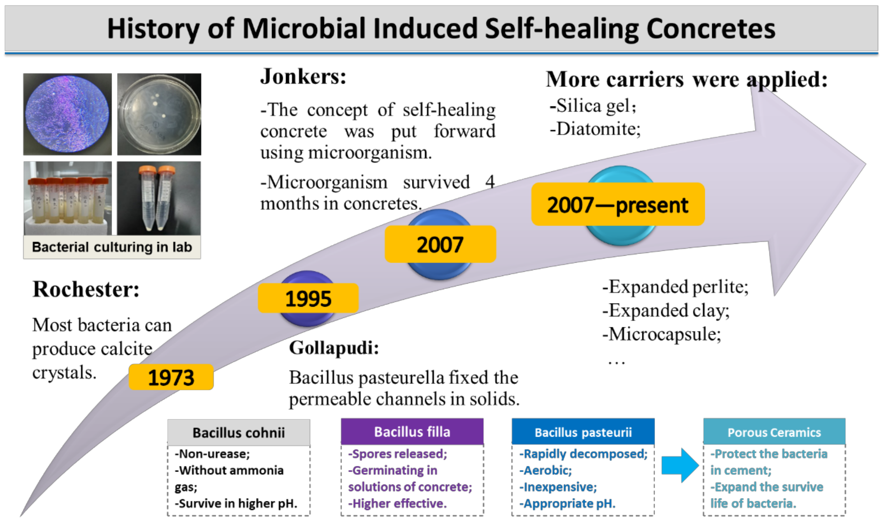 Materials 14 05116 g001