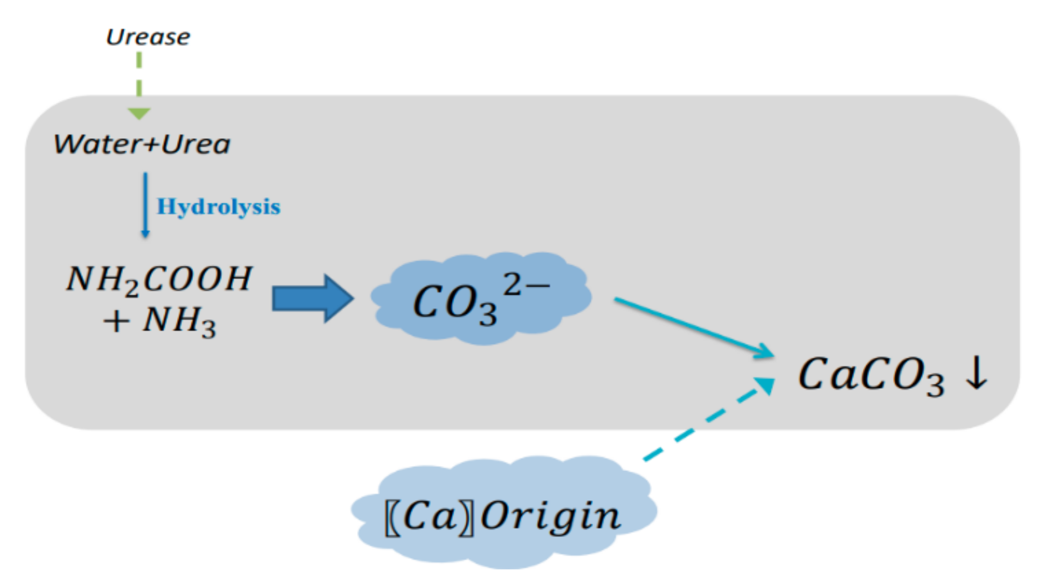 Materials 14 05116 g003