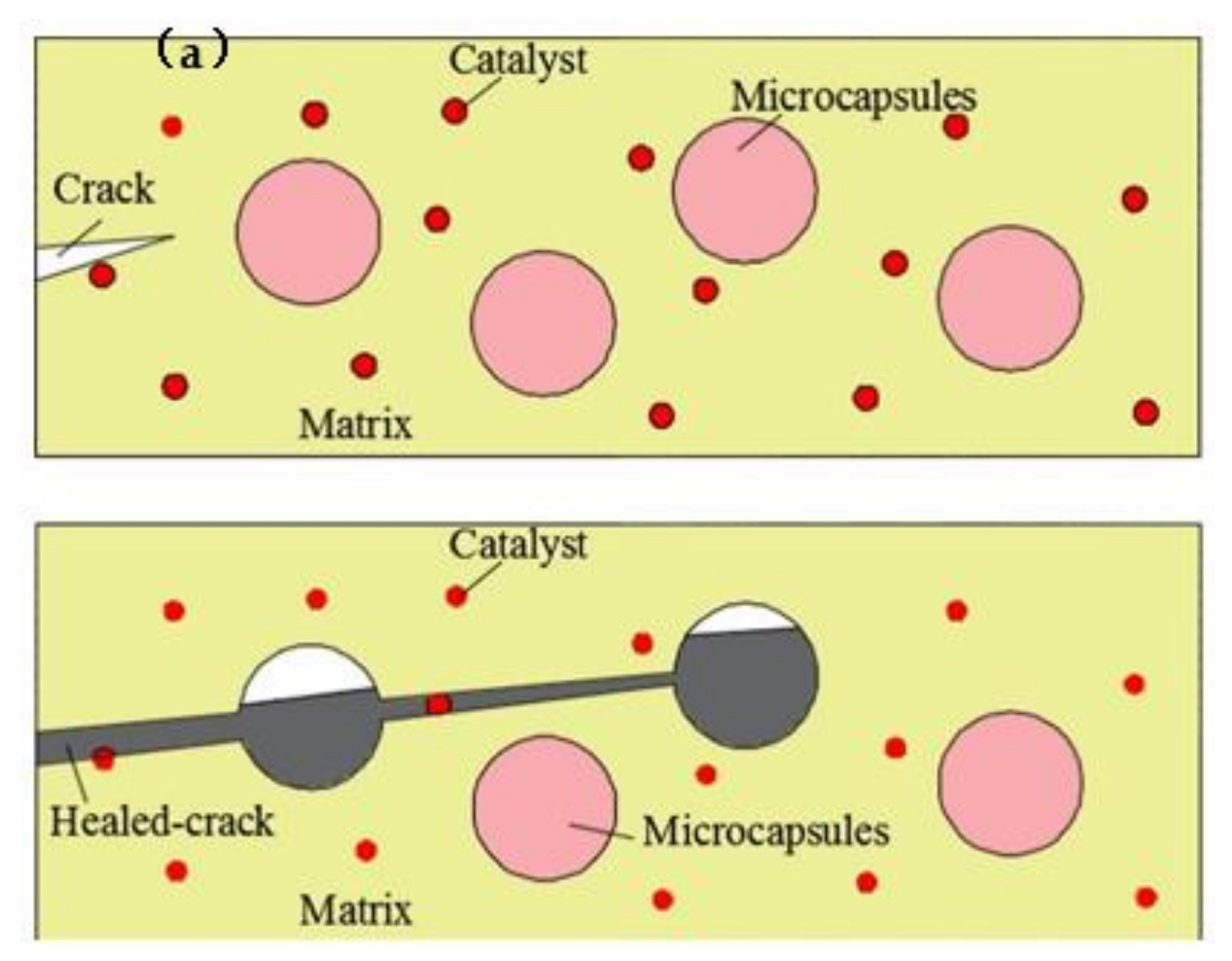 Materials 14 05116 g012