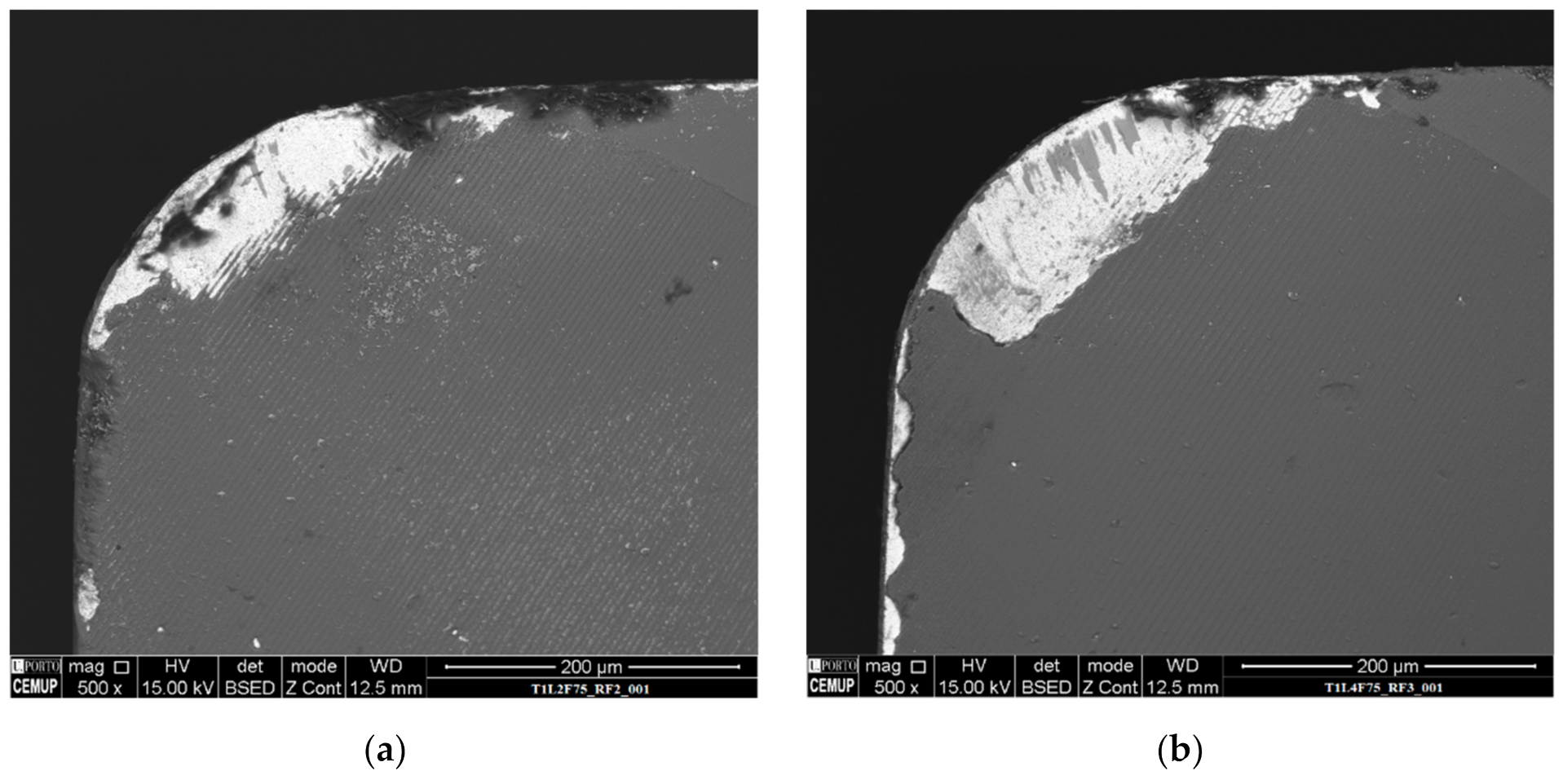 Materials 14 05122 g004 550