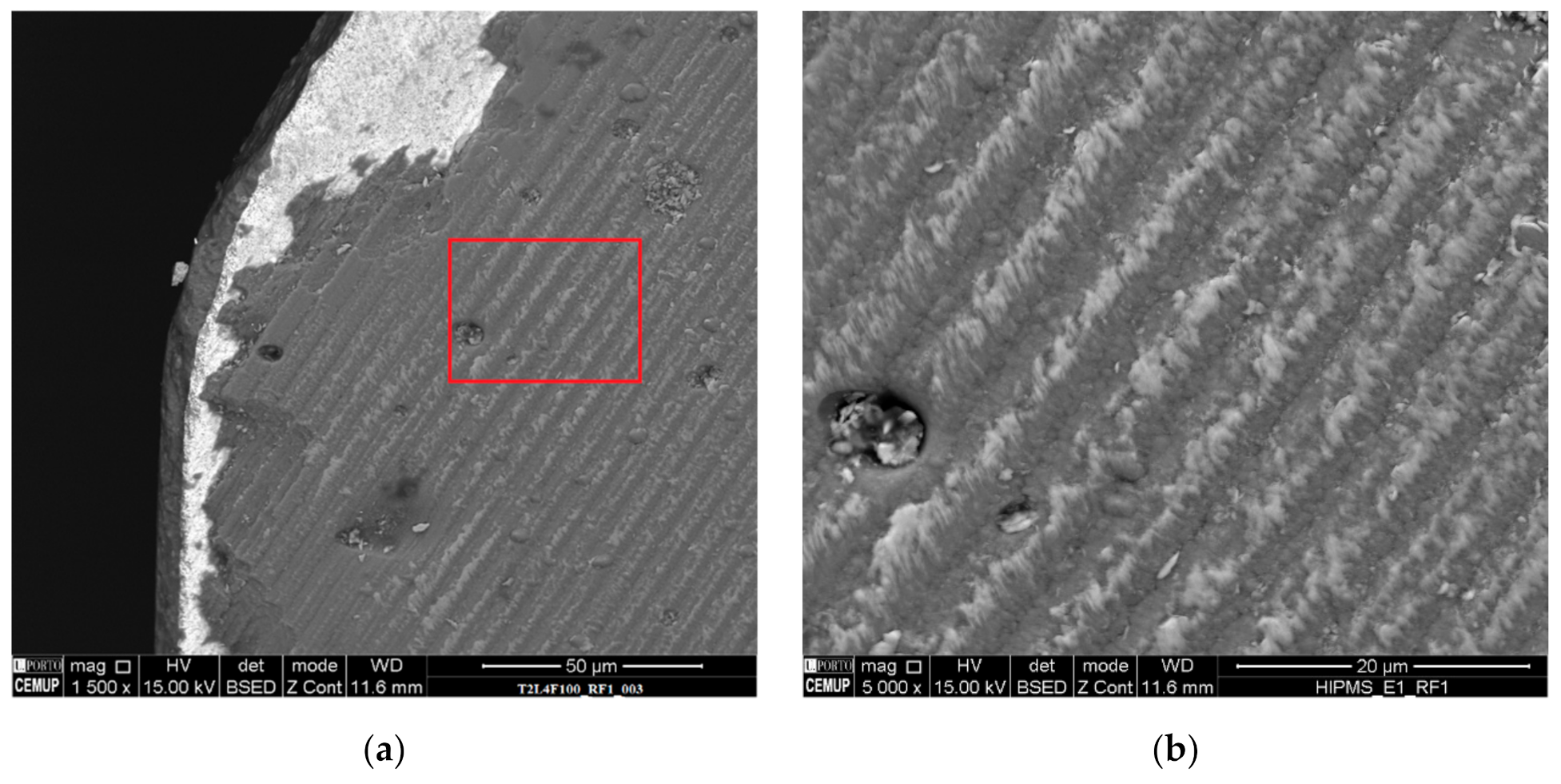 Materials 14 05122 g005 550