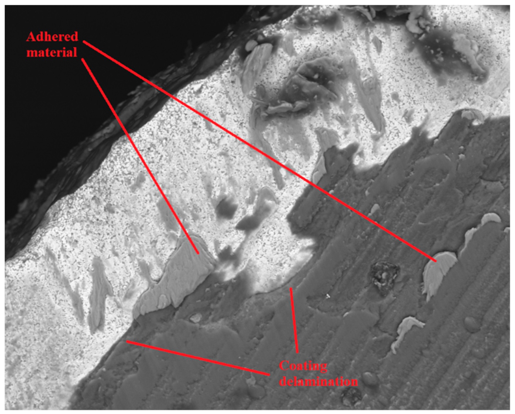 Materials 14 05122 g010 550